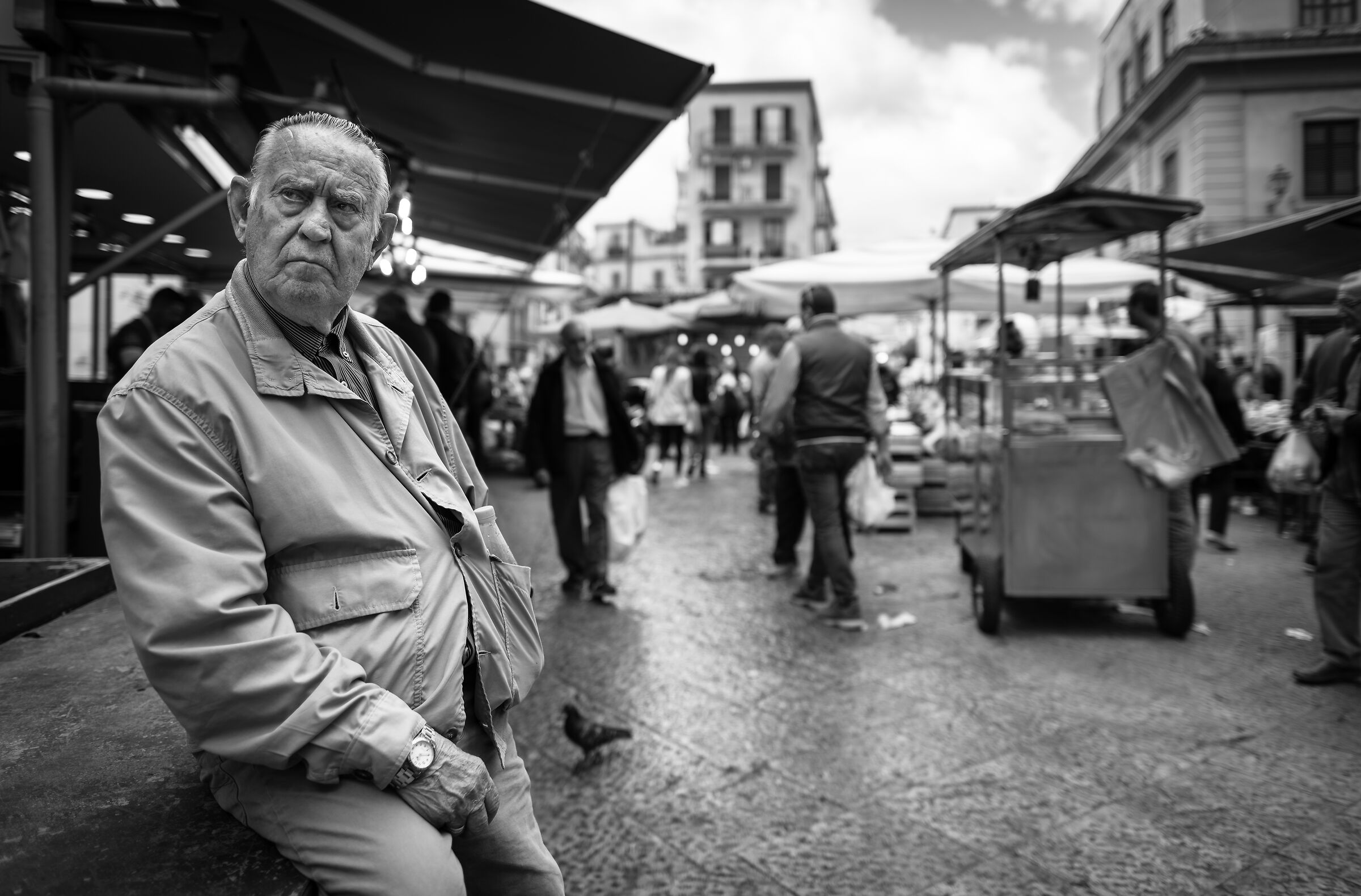 Volti di Sicilia - " Lo Sguardo Serio "