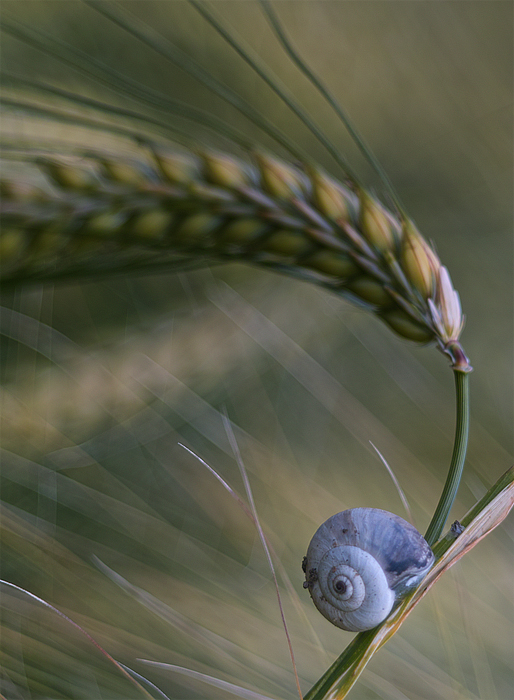 ......... @ .........