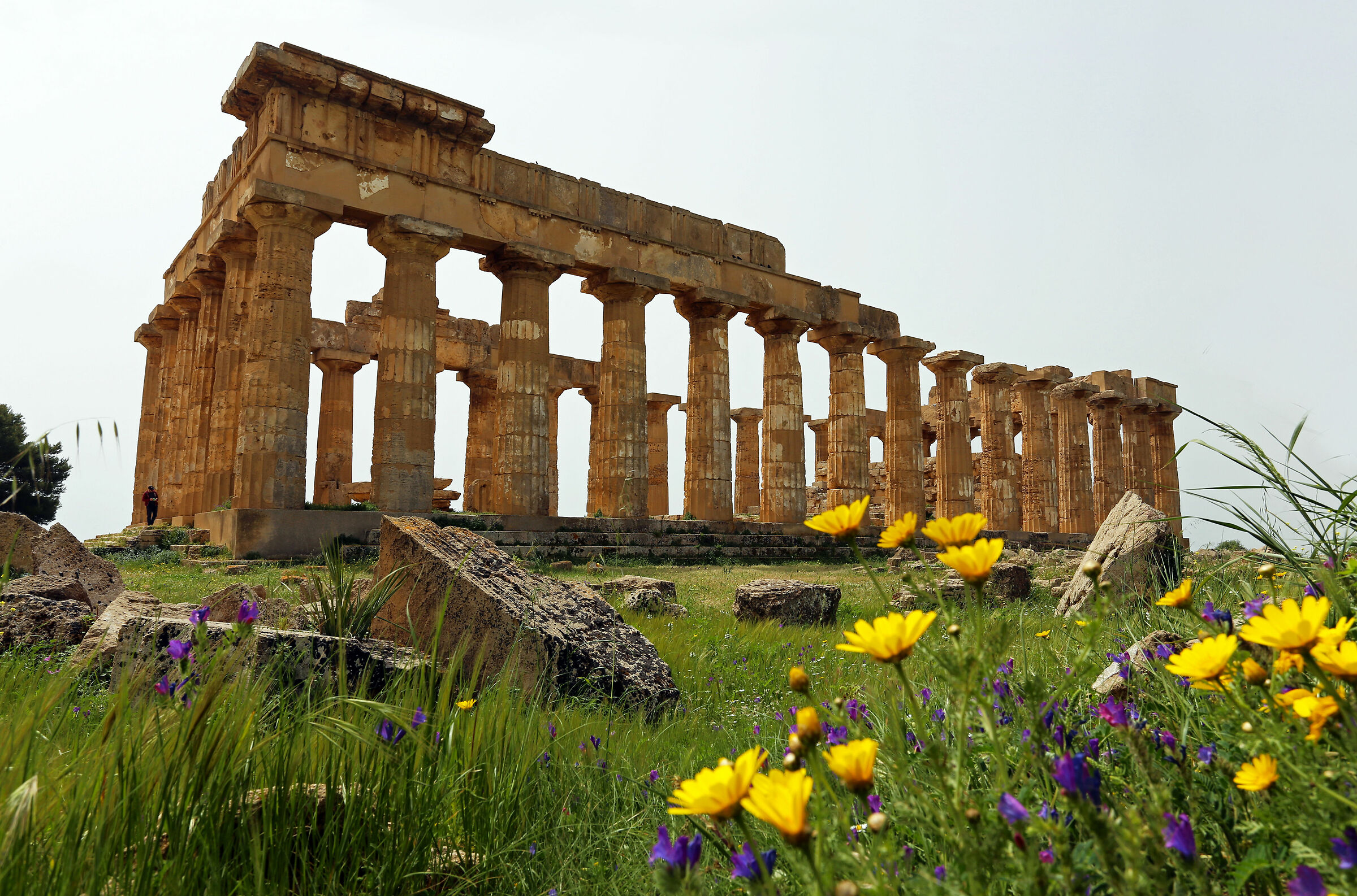 Tempio di Hera Selinunte