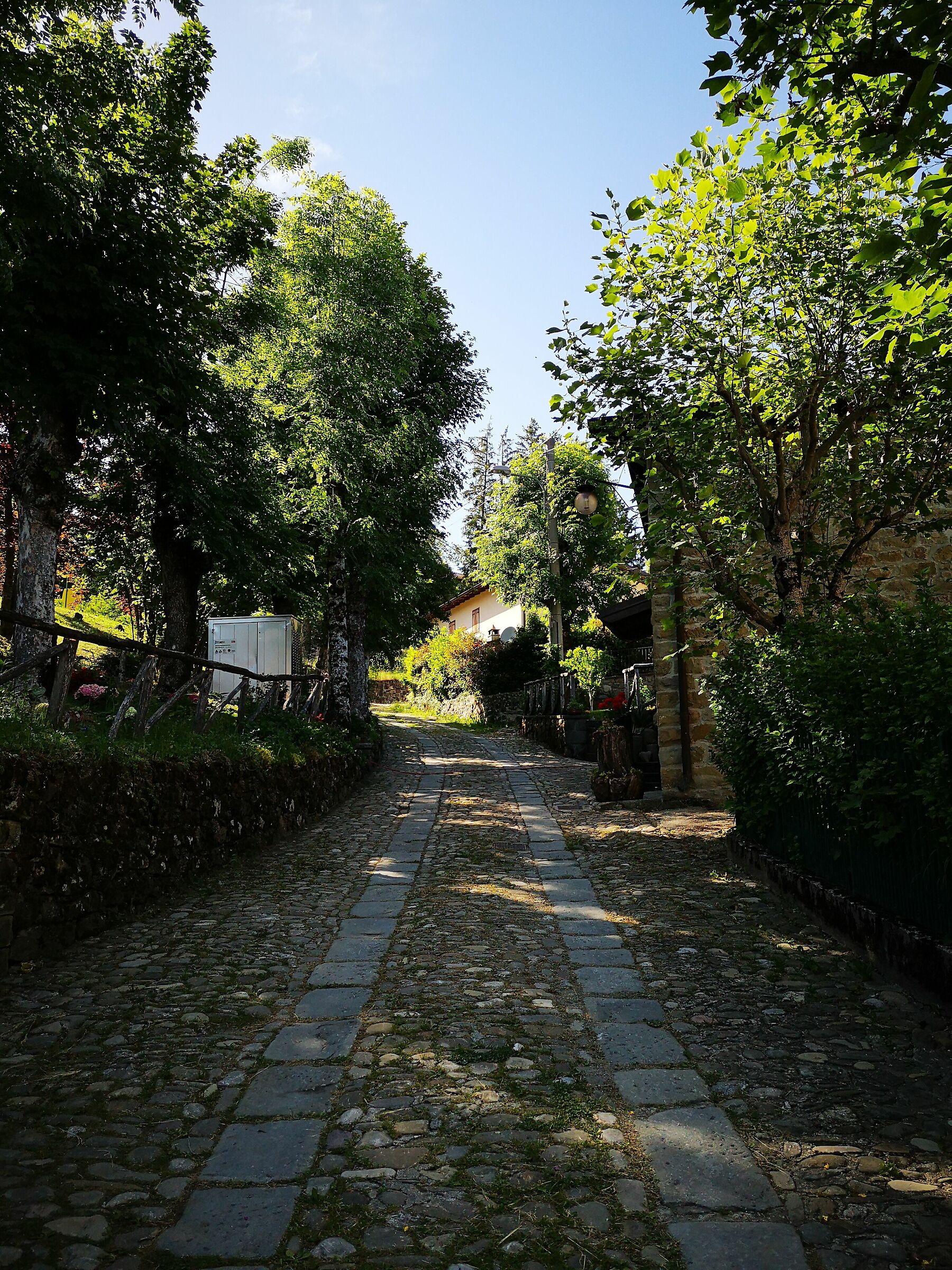 Una giornata a S. Andrea Pelago 3