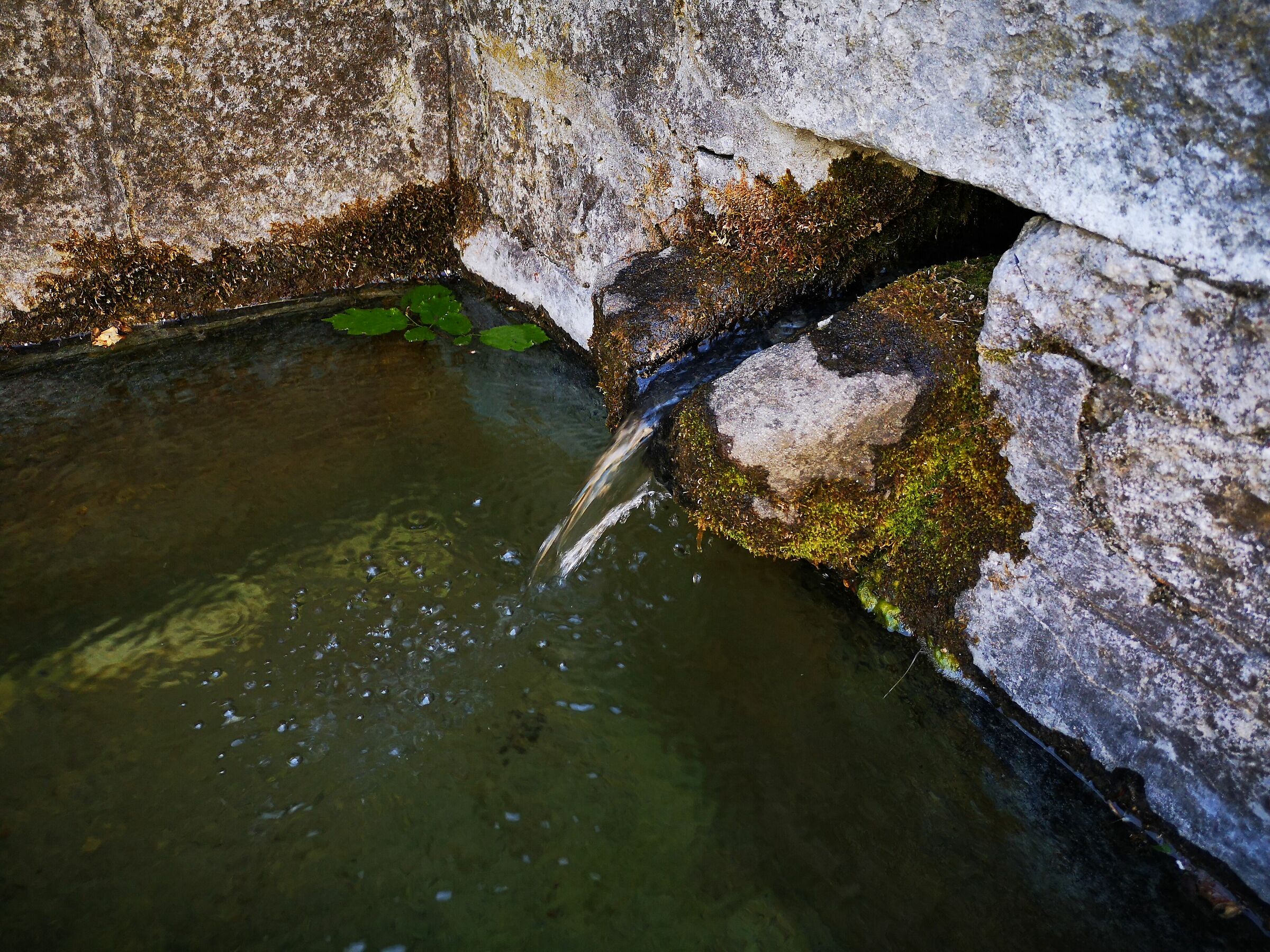 Una giornata a S. Andrea Pelago 4