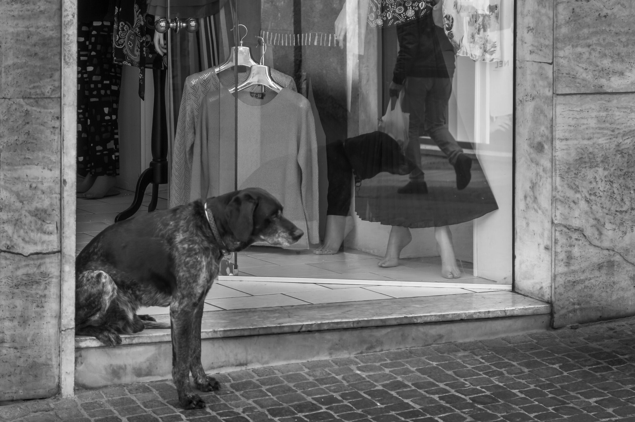 Viterbo, street, Corso Italia