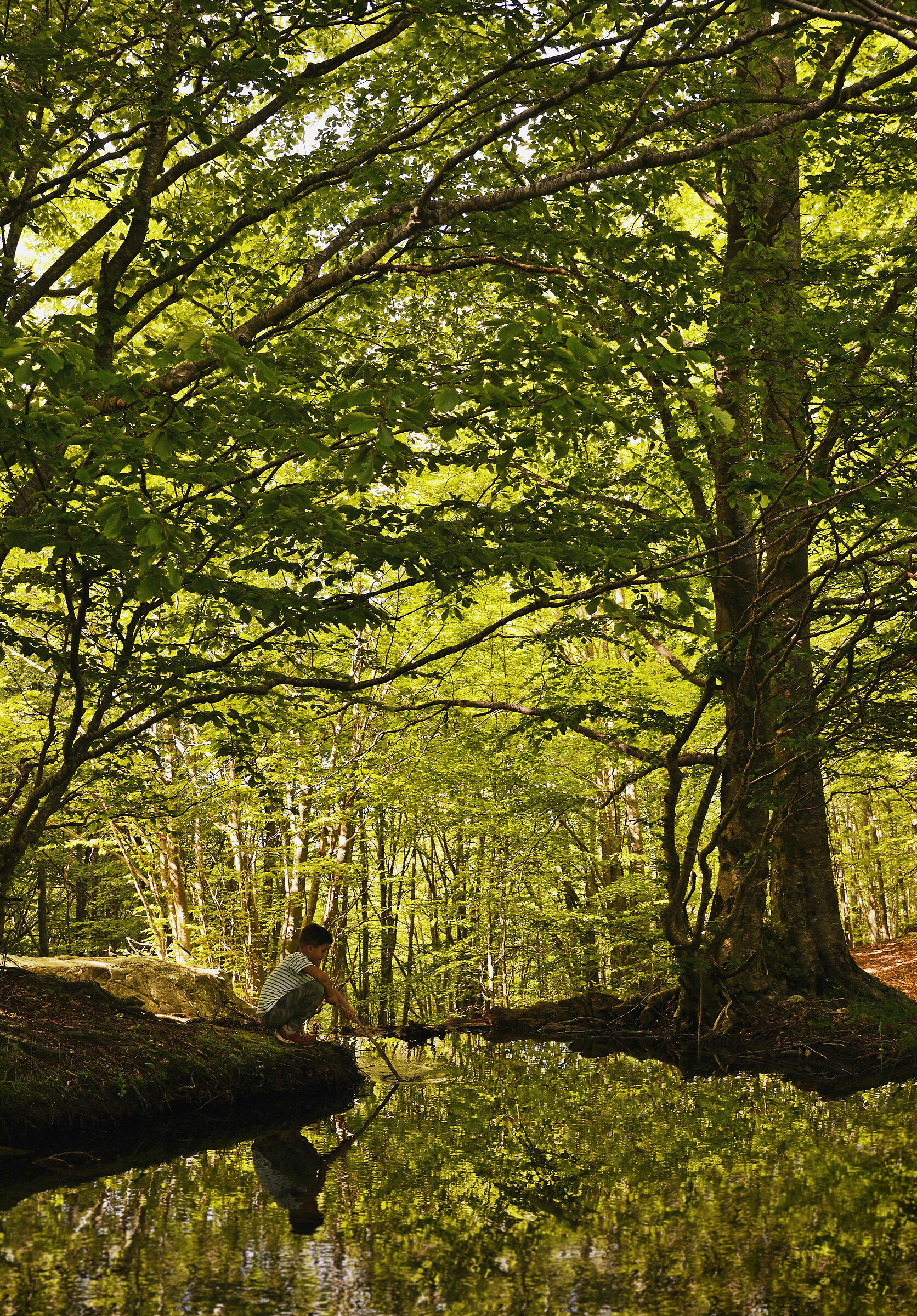 giocare con la natura