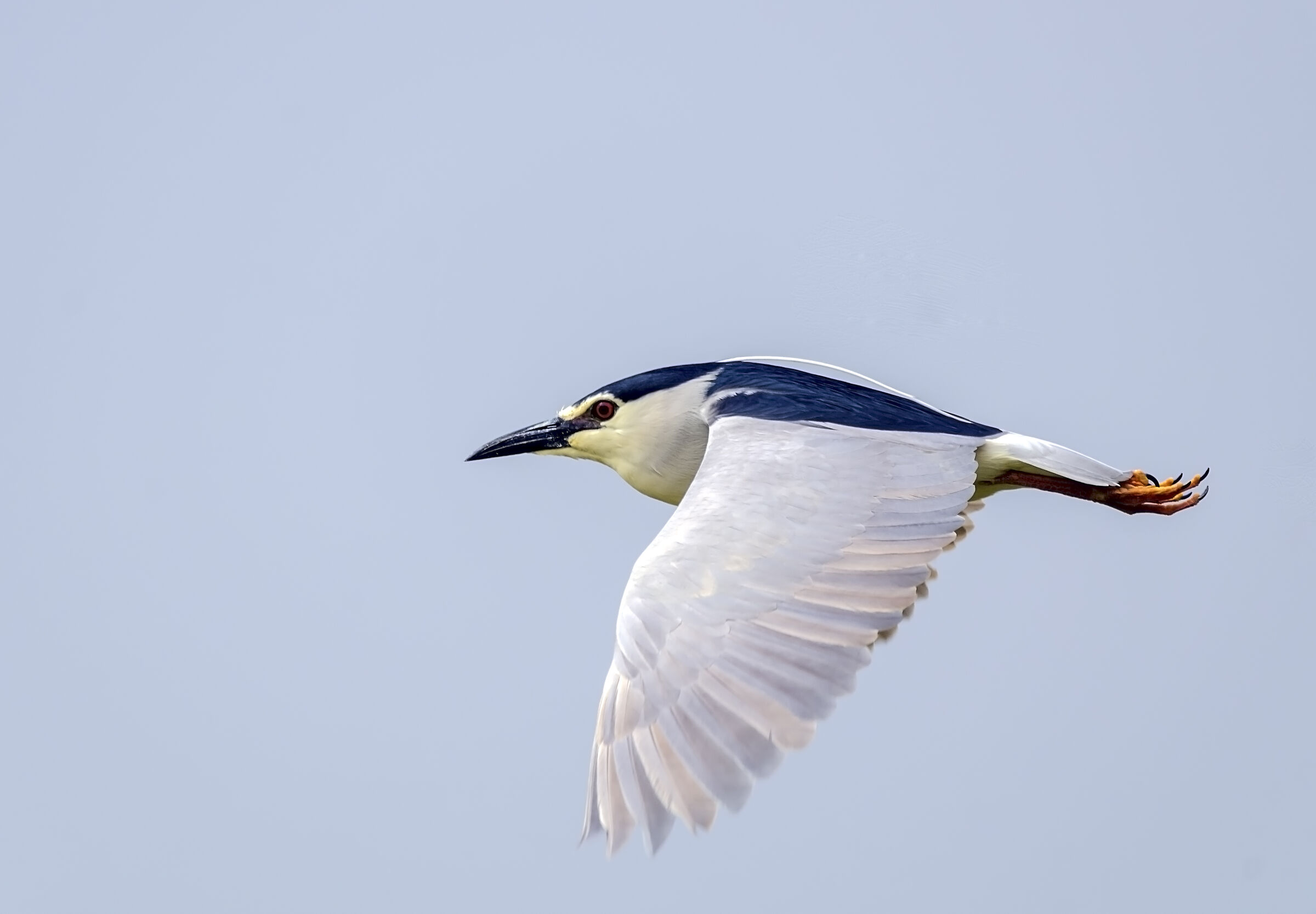 Streamlined