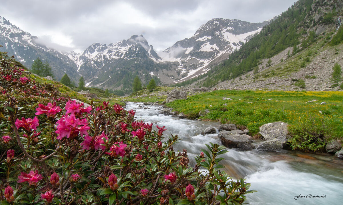 Pian della casa...Alpi Marittime...