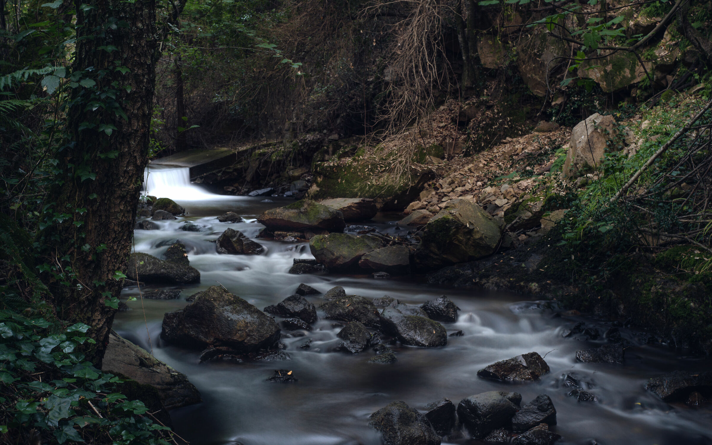 Waterfall and vintage lens