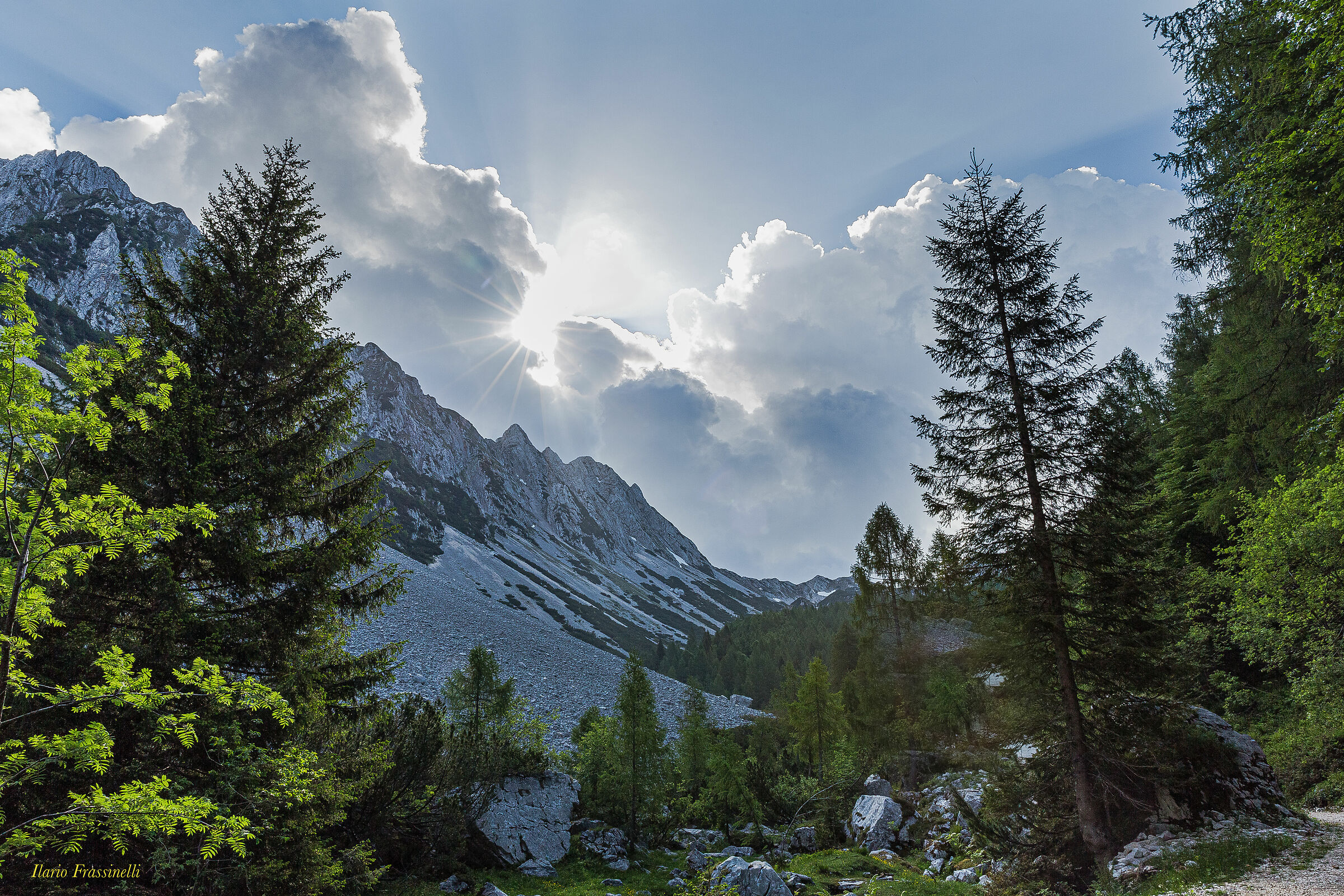 Val Salatis - Alpago BL