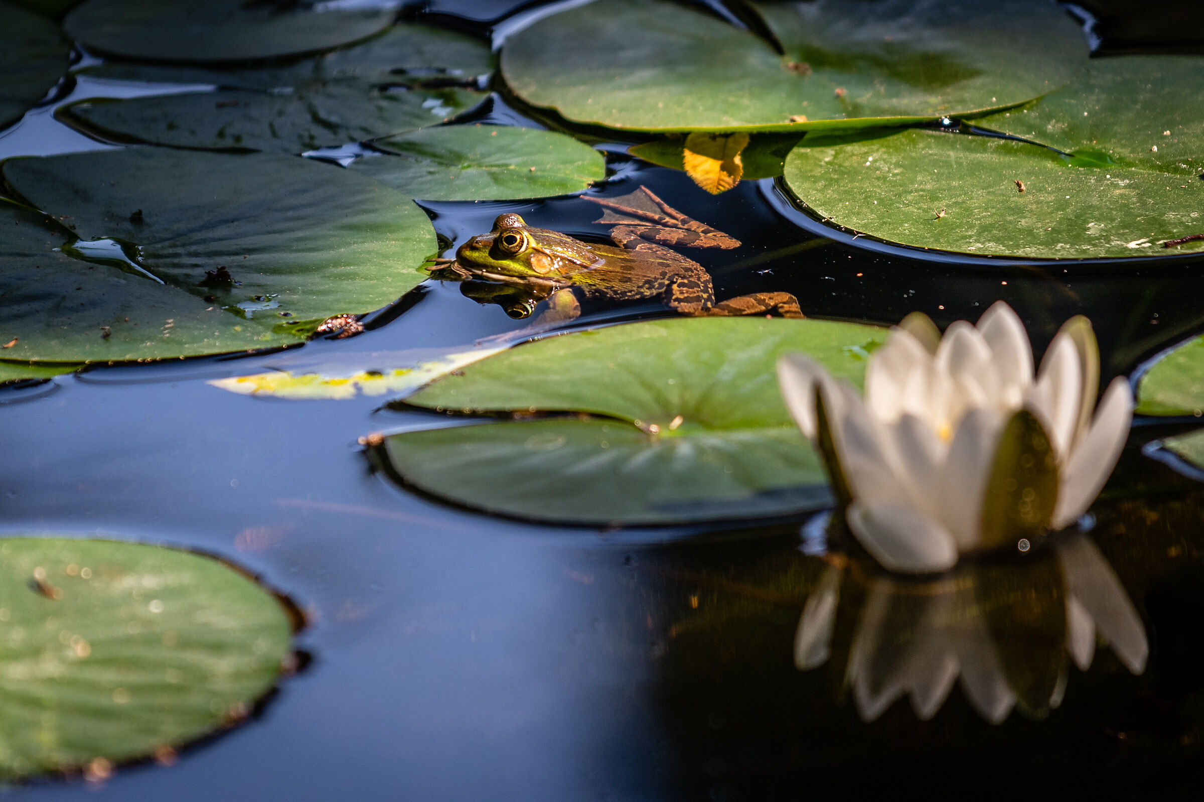 Mi sembra tutto a posto.