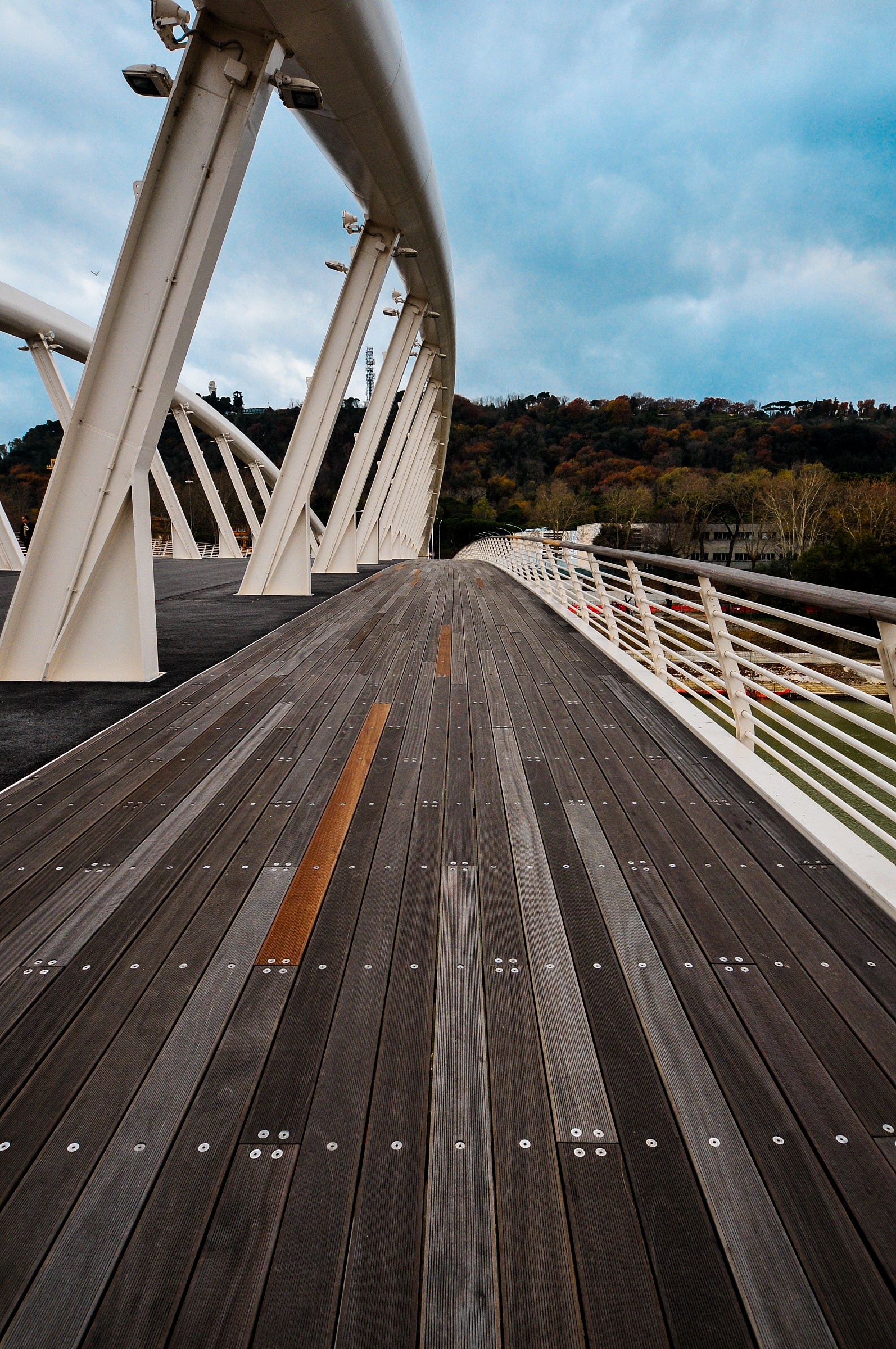 Roma - Ponte della musica