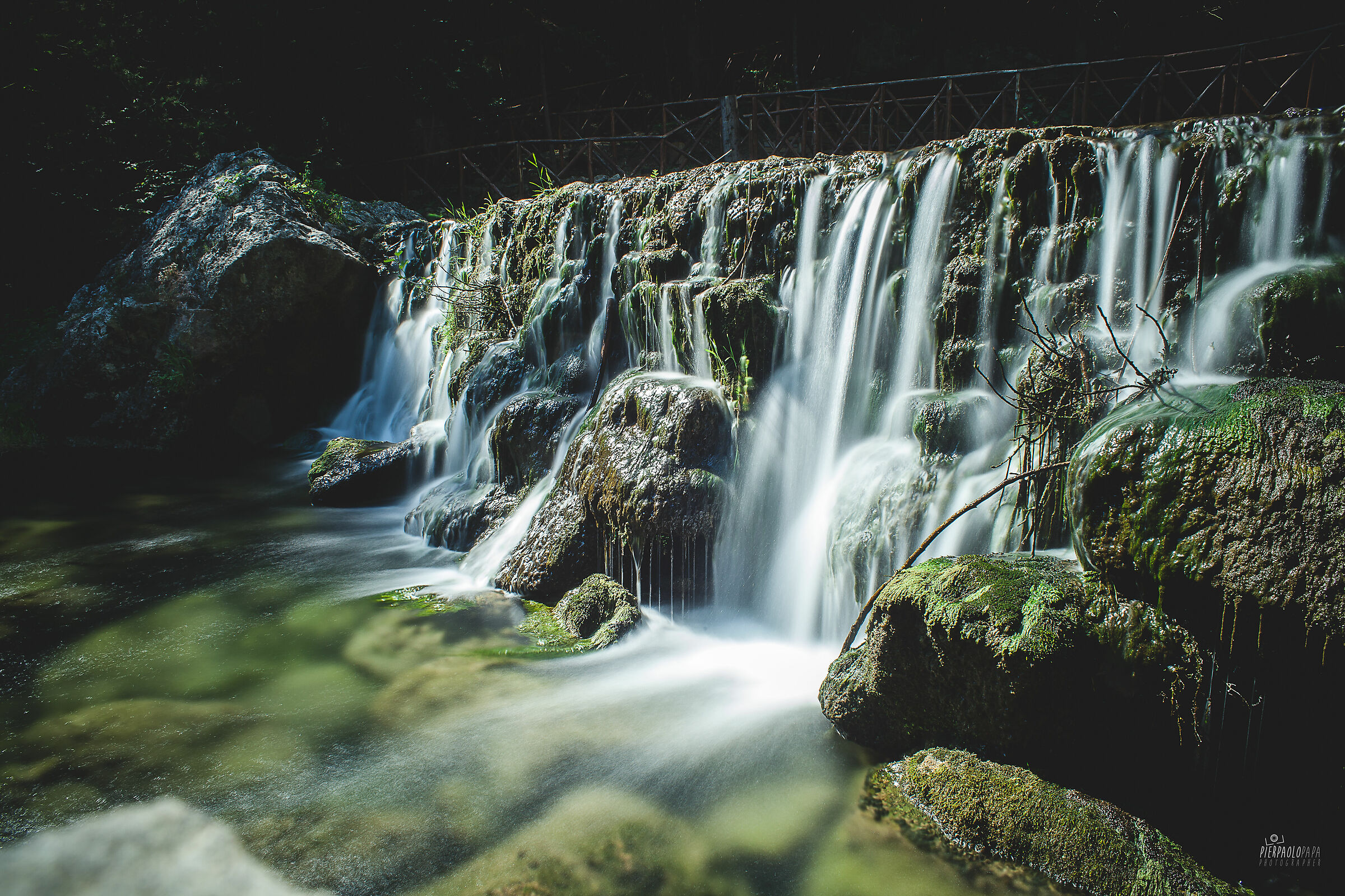 cipresseta fontegreca