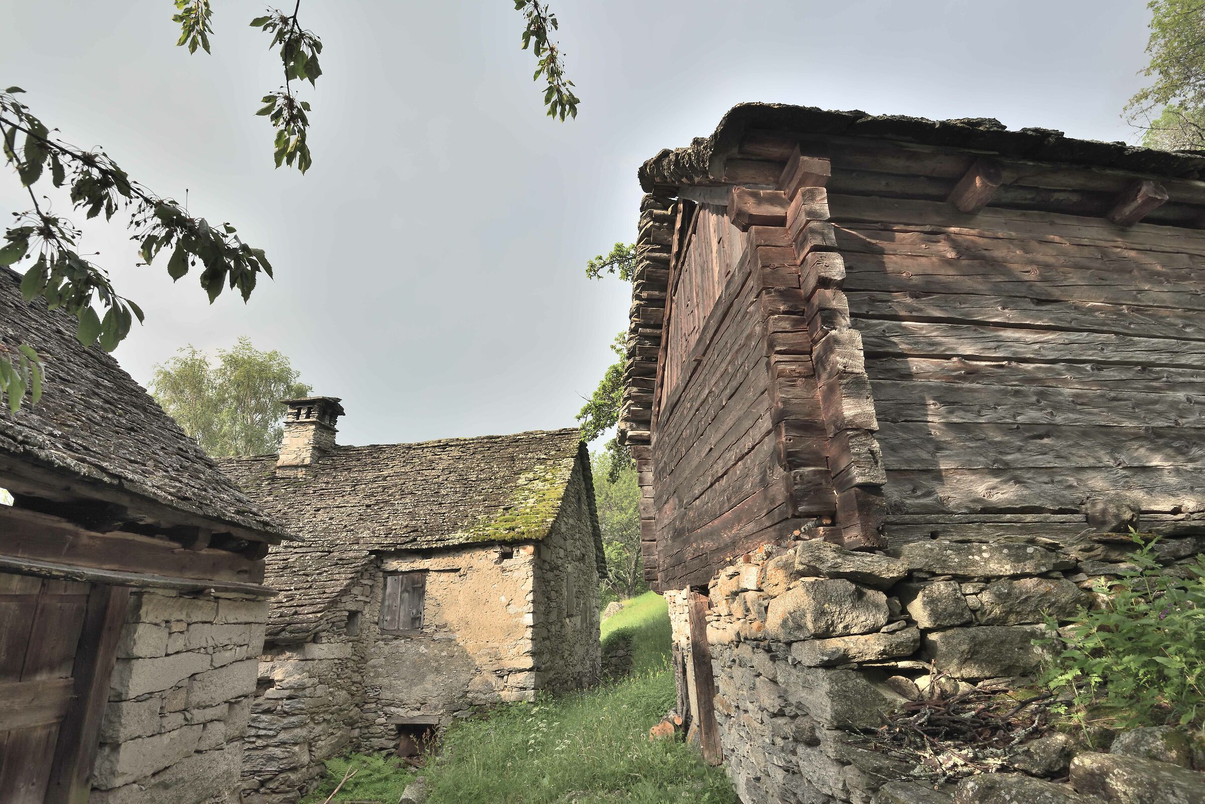 rural houses above Salecchio lower