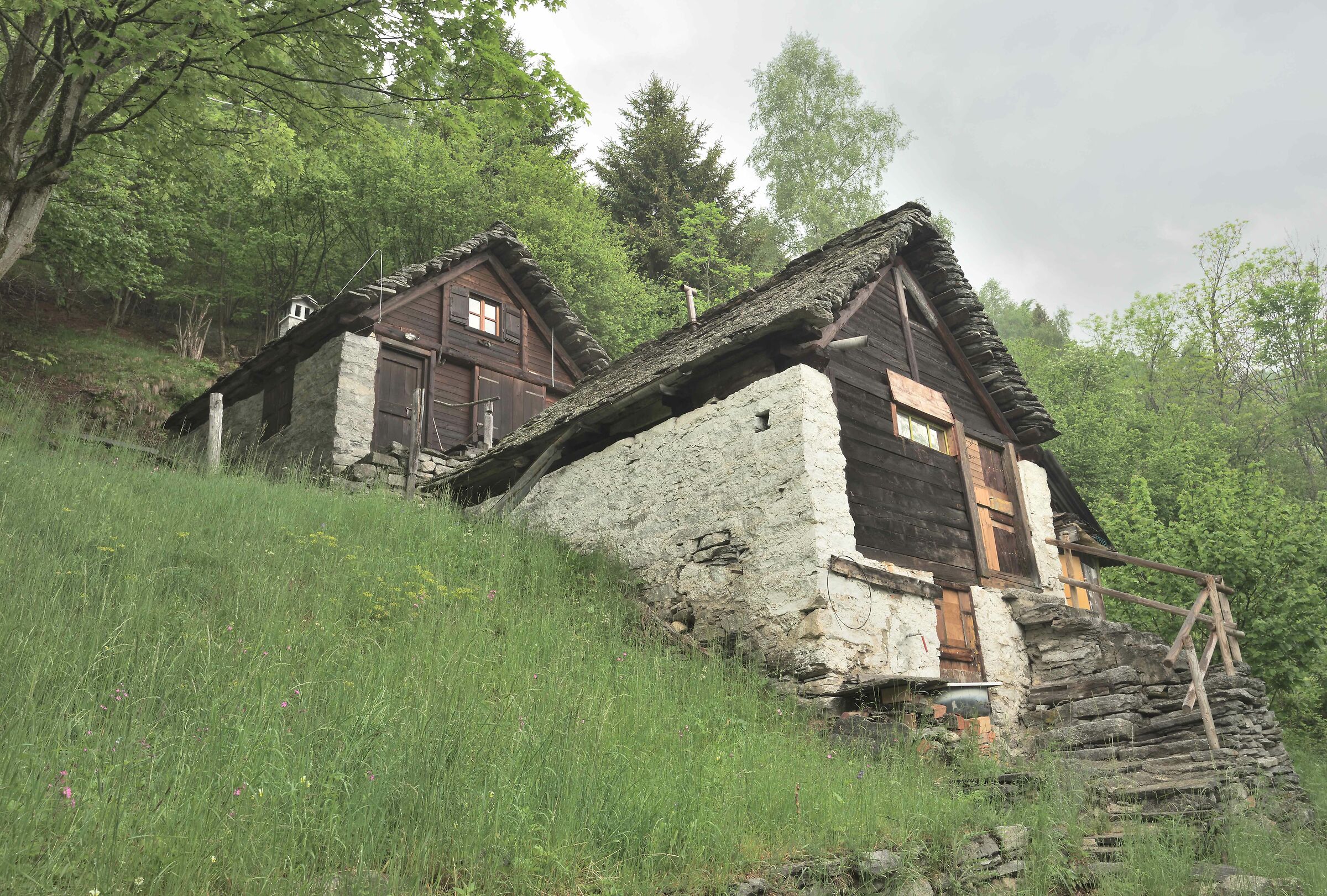 rural houses in Lower Salecchio