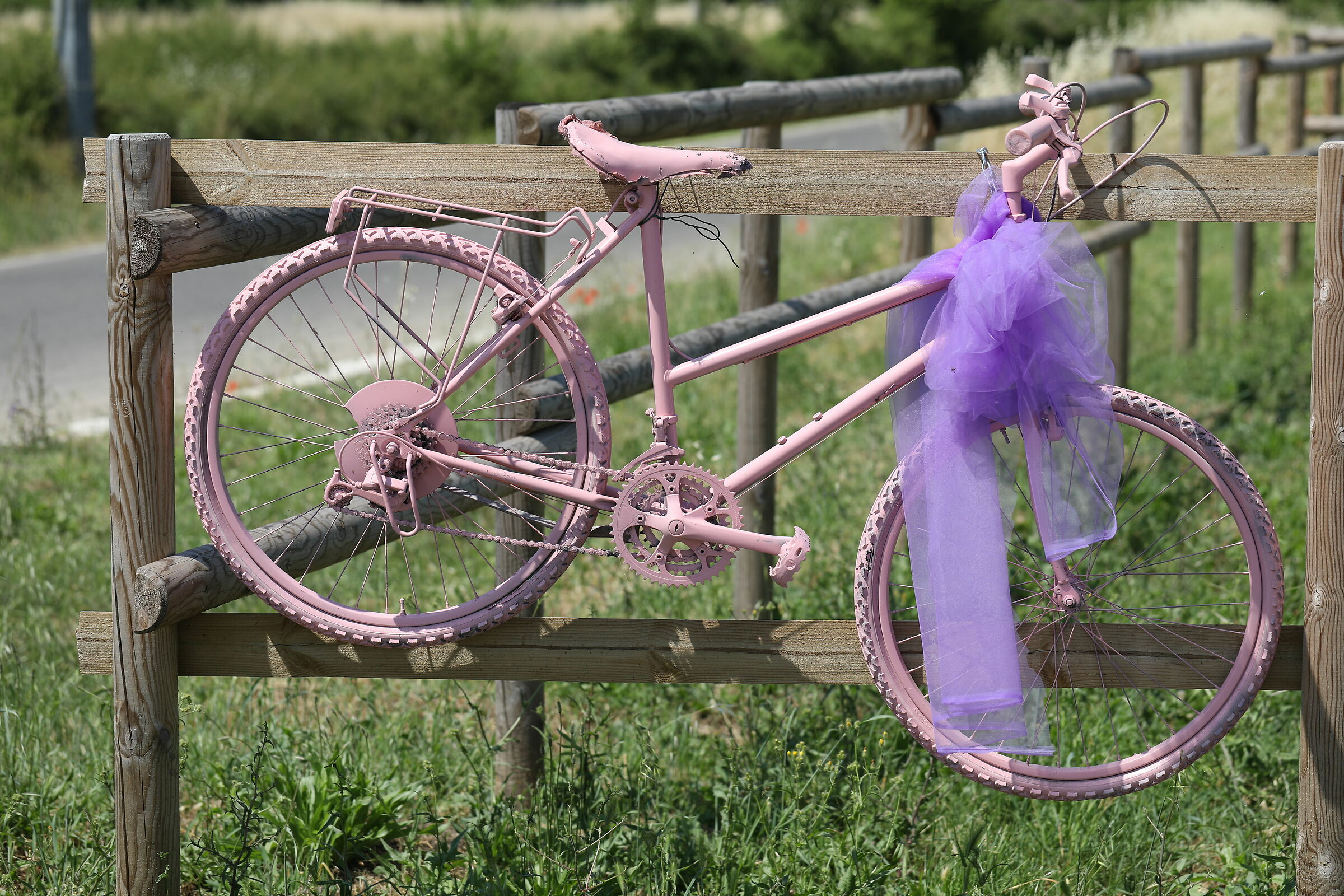 On the streets of Coppi