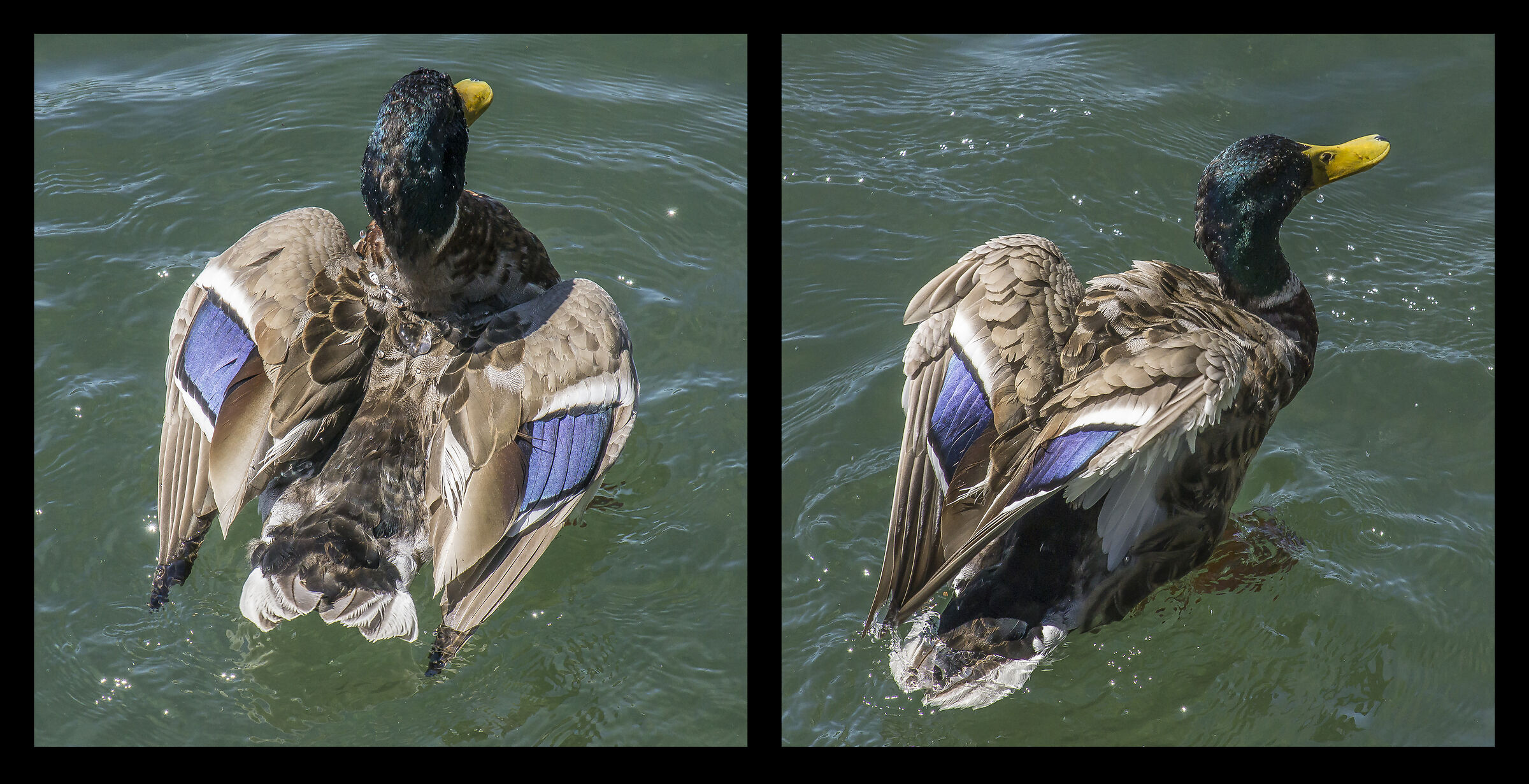 Sunday, June 16, 2109, 4:58 p.m.