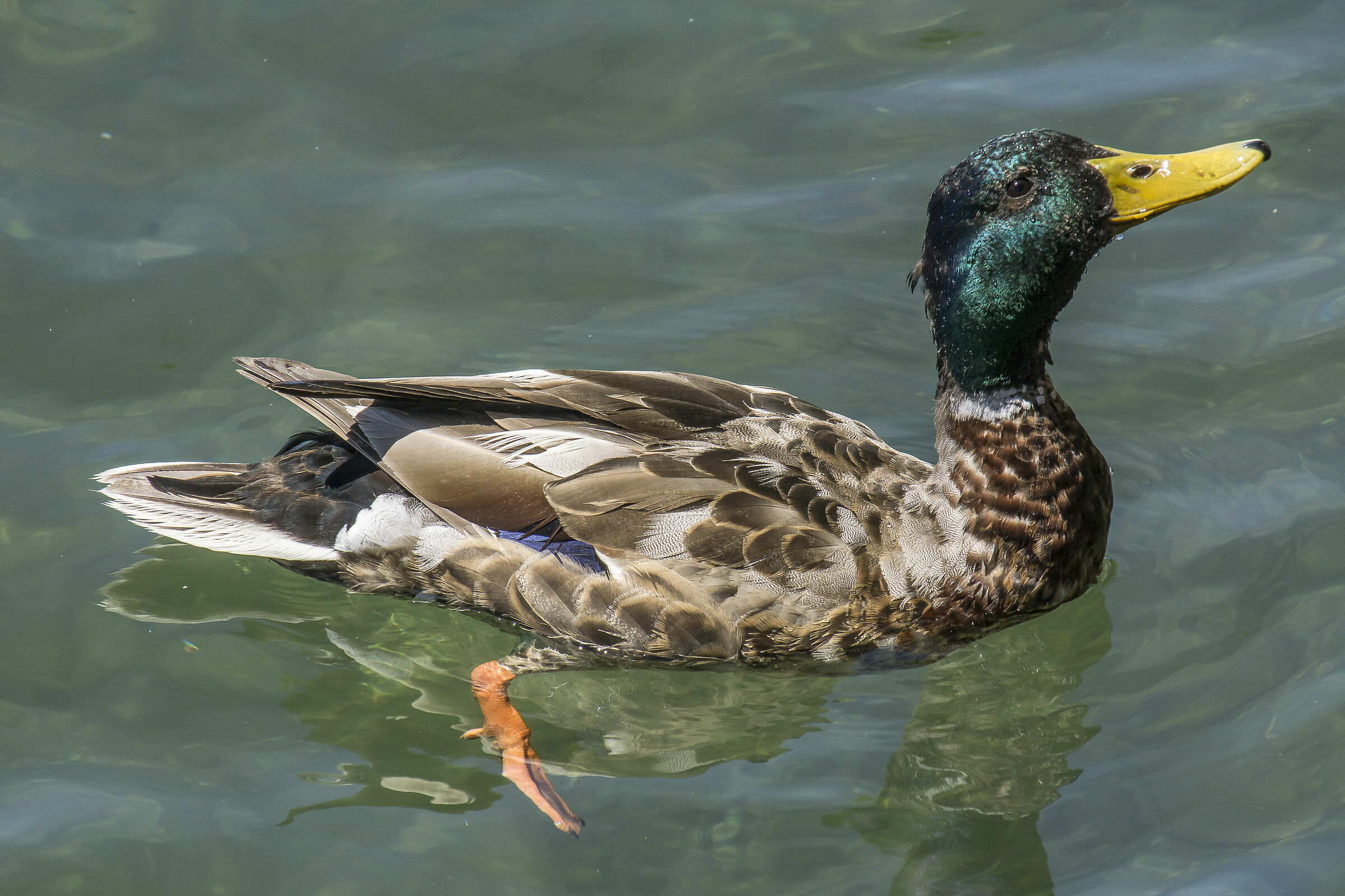 Sunday, June 16, 2019, 4:59 p.m.