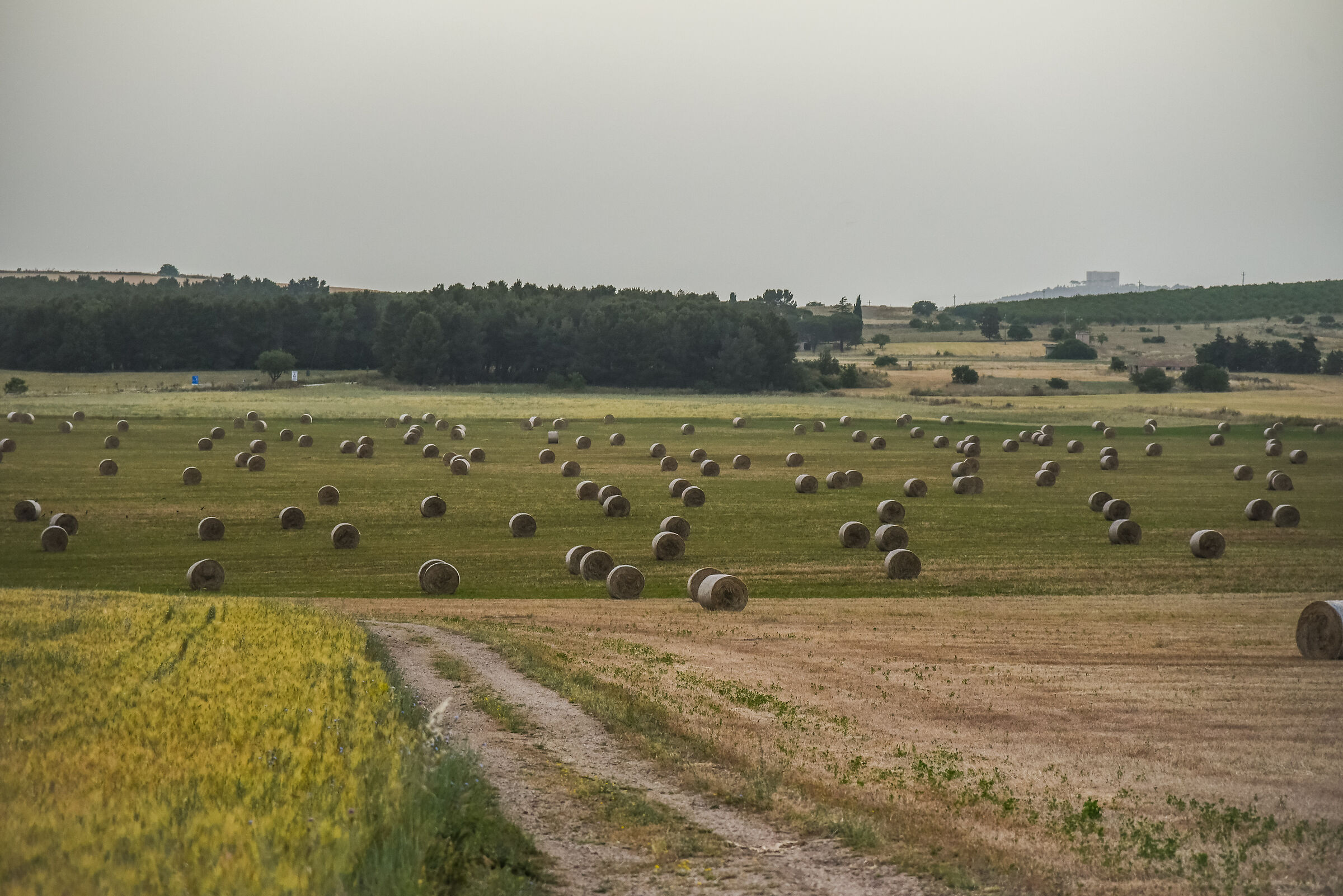 Balle di fieno all'alba con Castello
