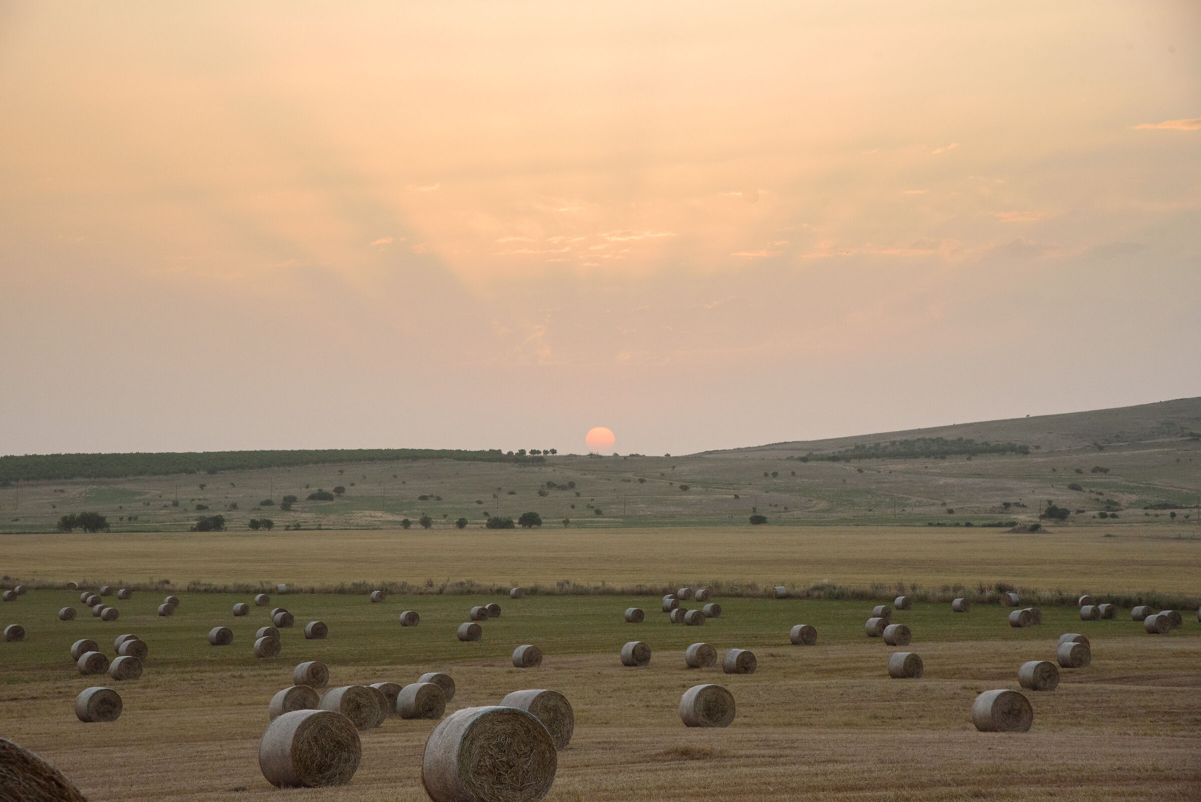 Balle di fieno all'alba 2