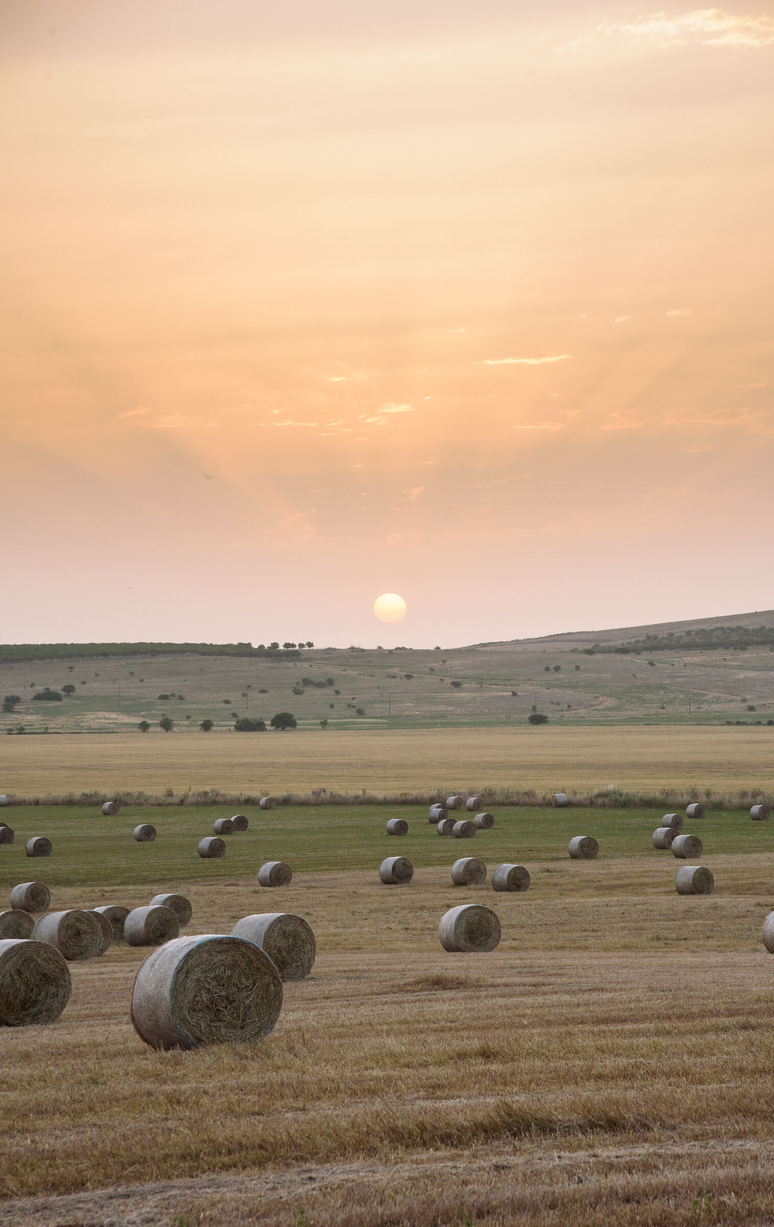 Balle di fieno all'alba 3