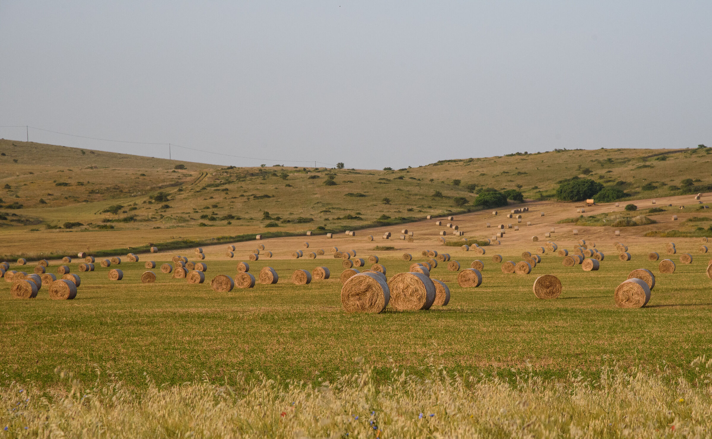 Balle di fieno all'alba 4