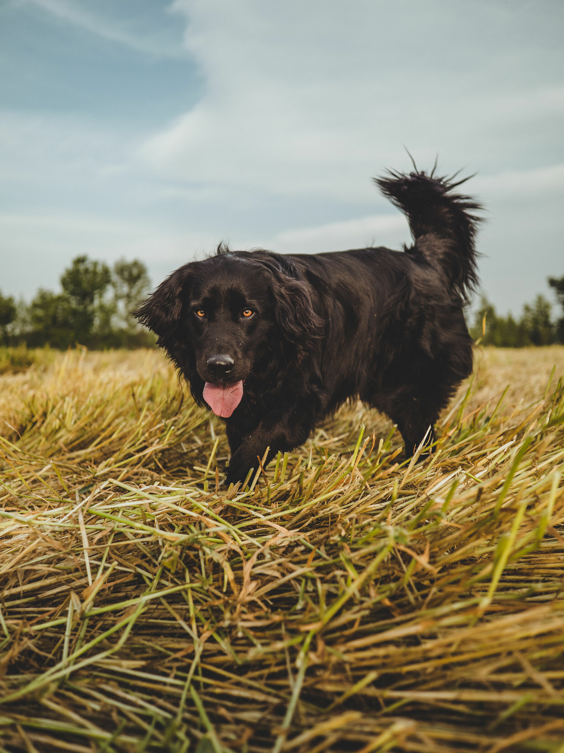 Esplorando la campagna