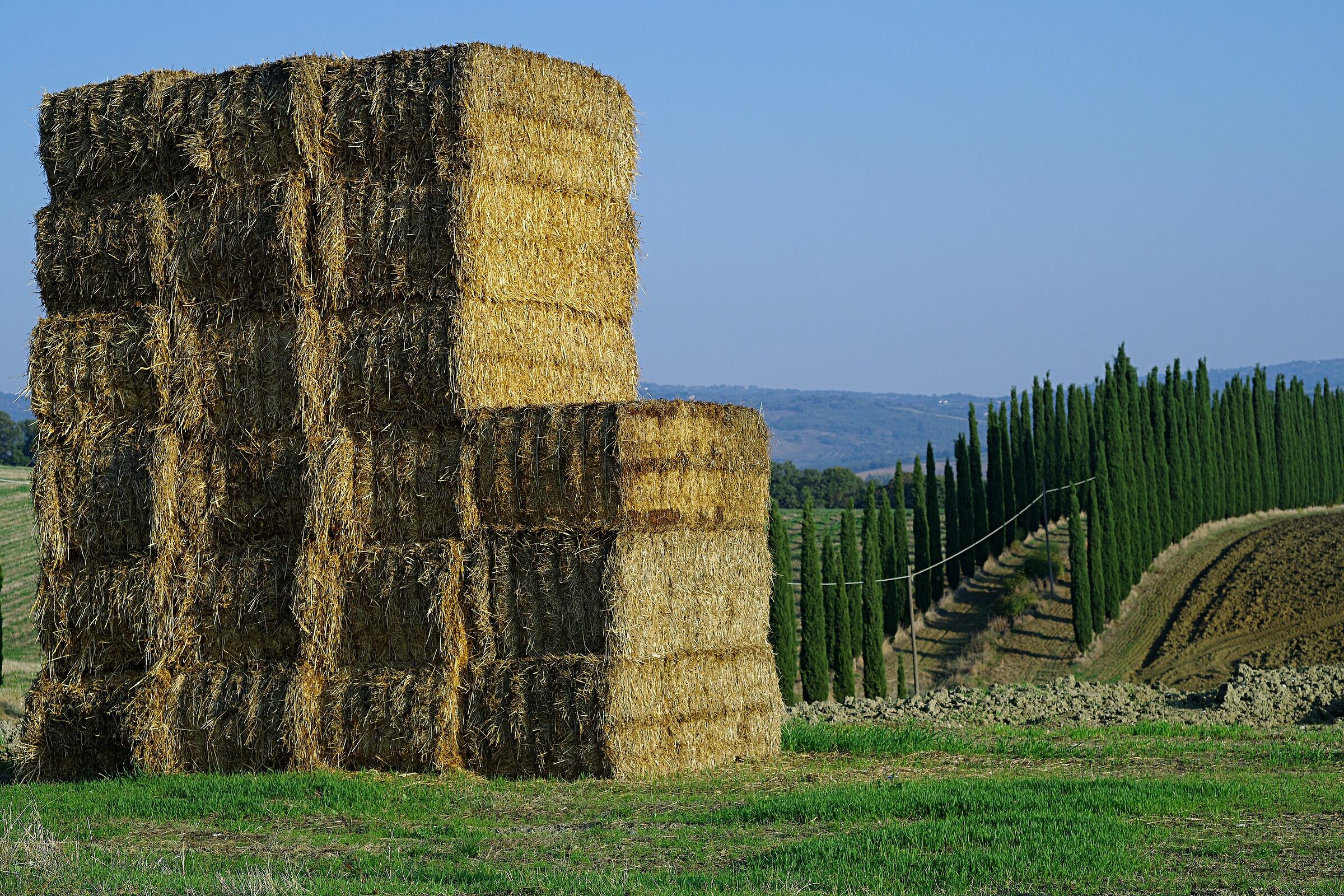 C'erano una volta le balle.....