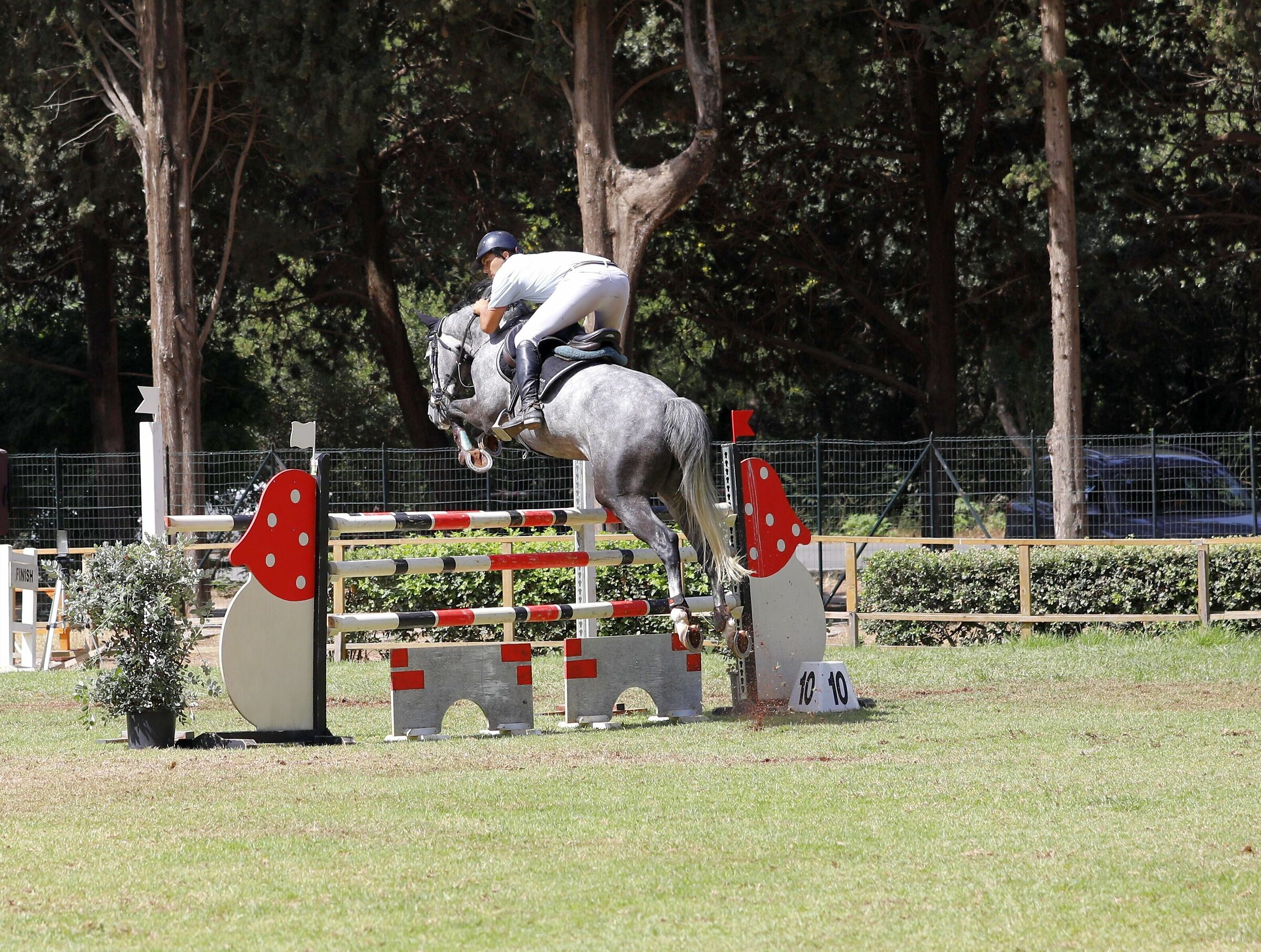 Equestrian Competition at the Favorite of Palermo 16 June 20...