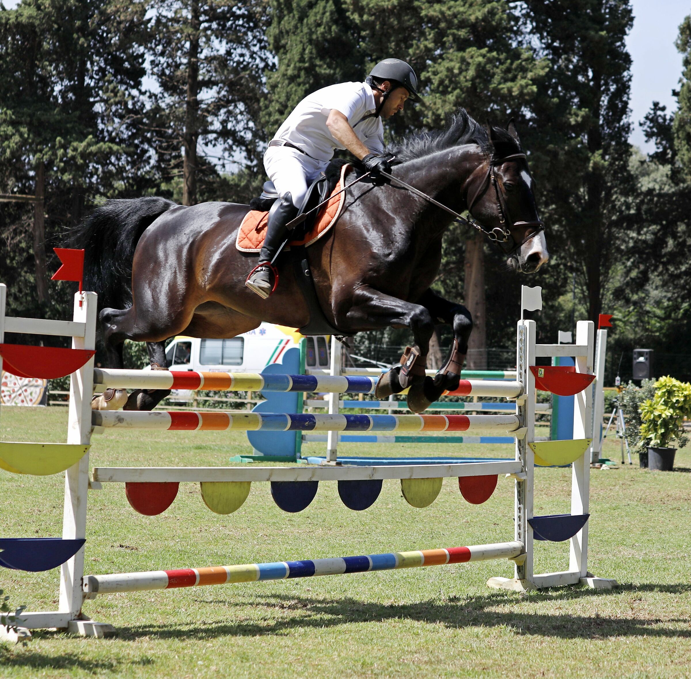 Concorso Ippico alla Favorita di Palermo 16 giugno 2019