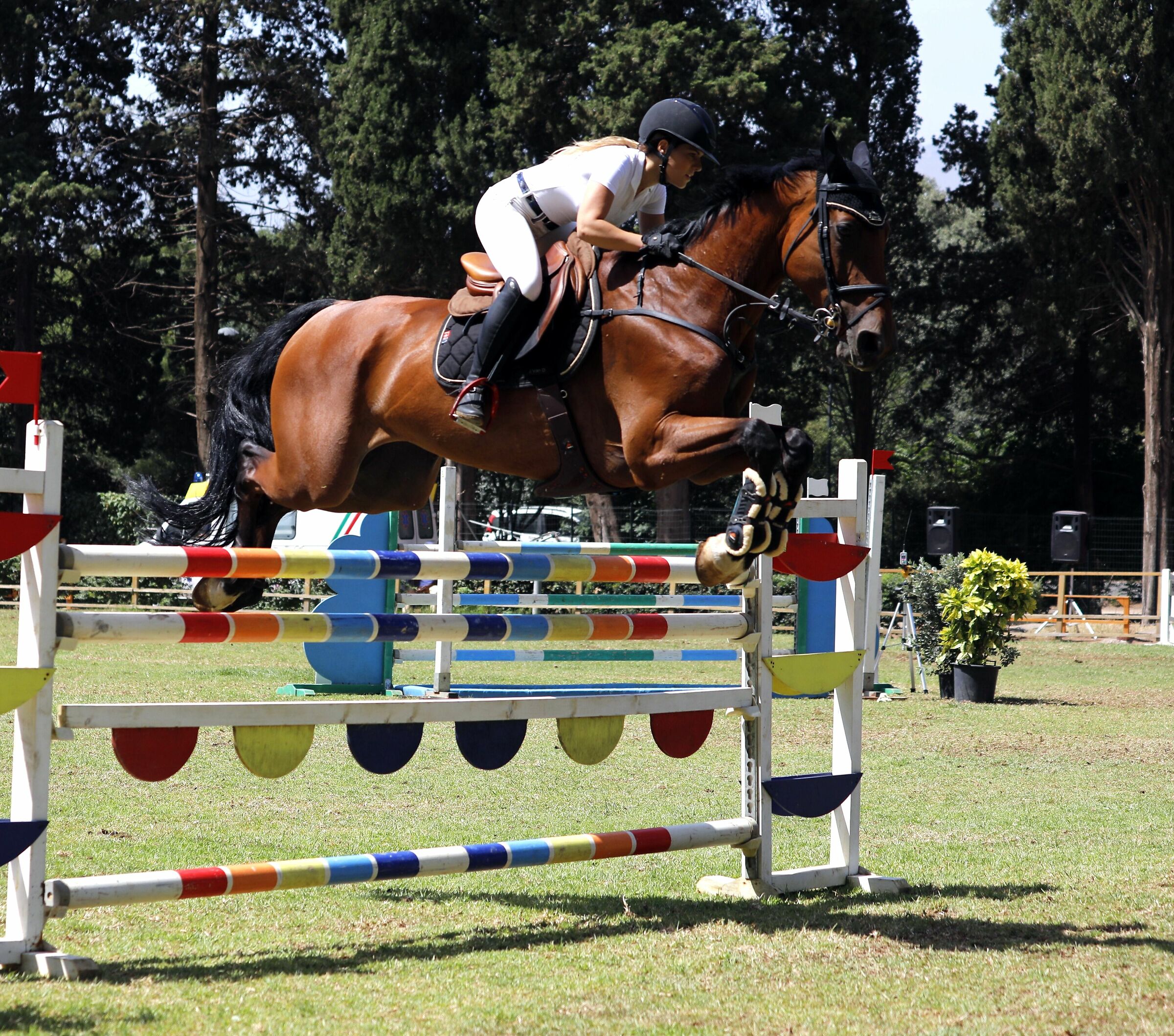 Concorso Ippico alla Favorita di Palermo 16 giugno 2019