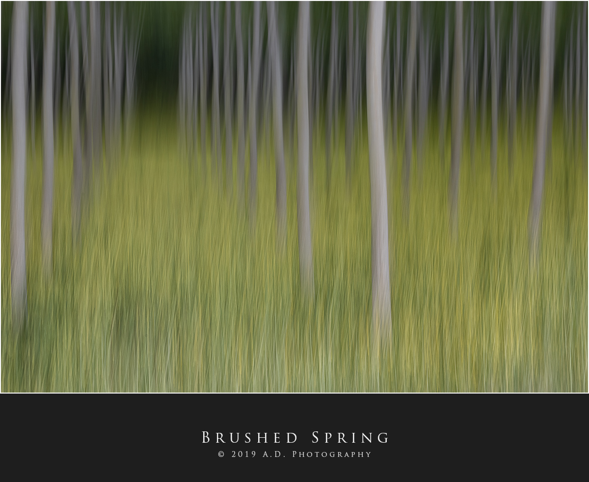 Brushed Spring