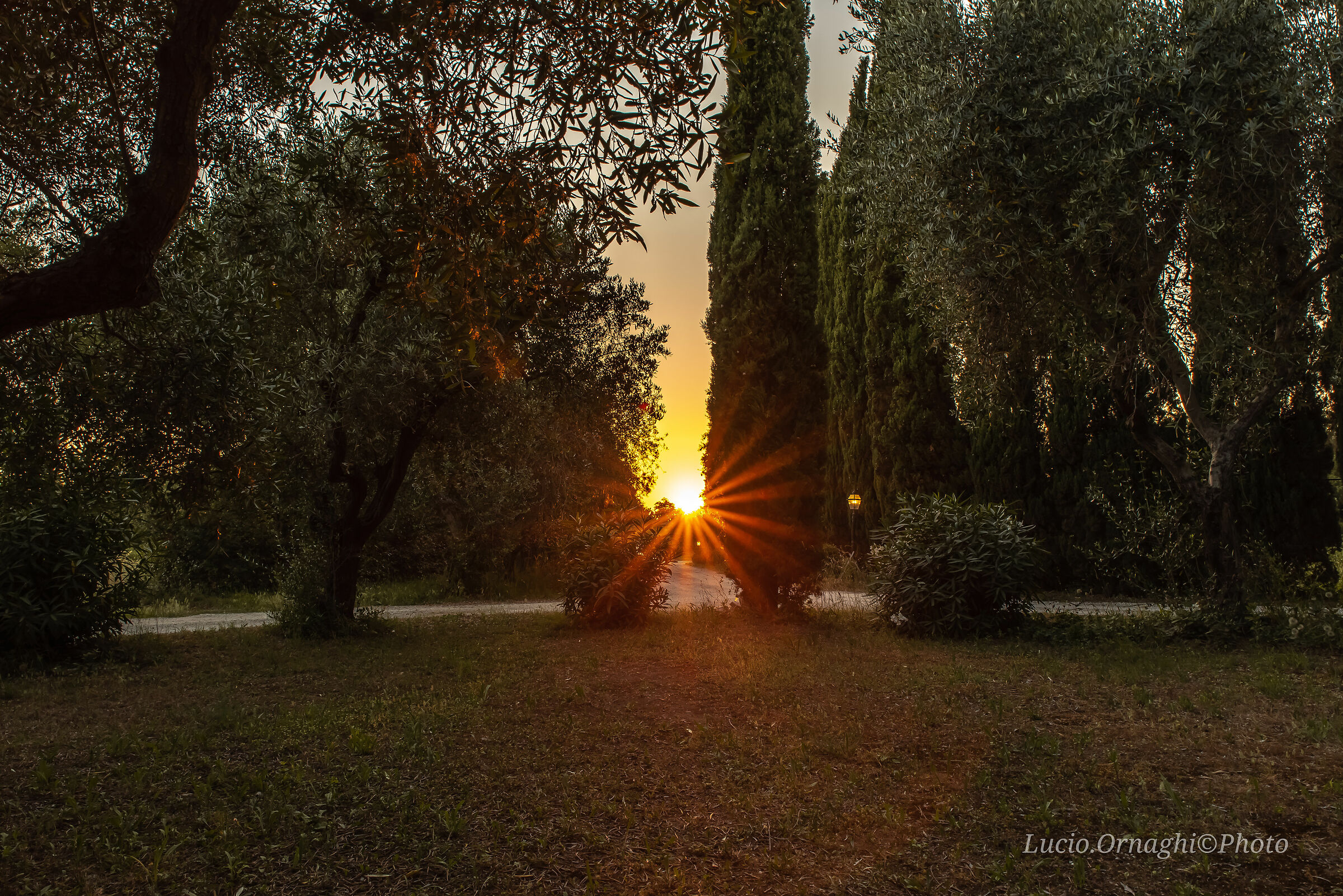 Ultimi raggi di sole