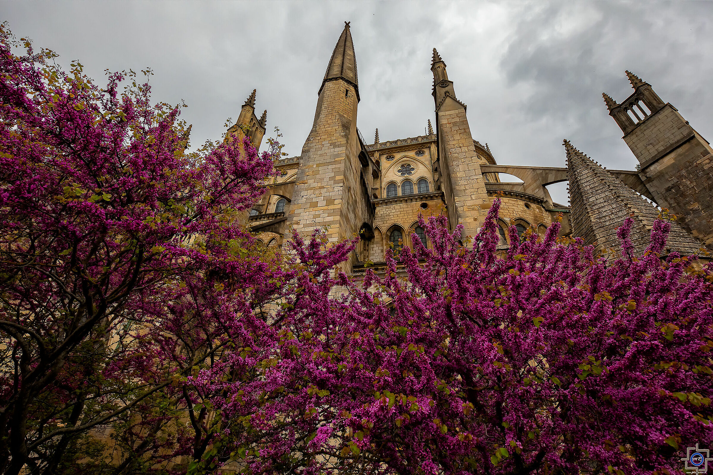 bourges fitelo con i fiori :)
