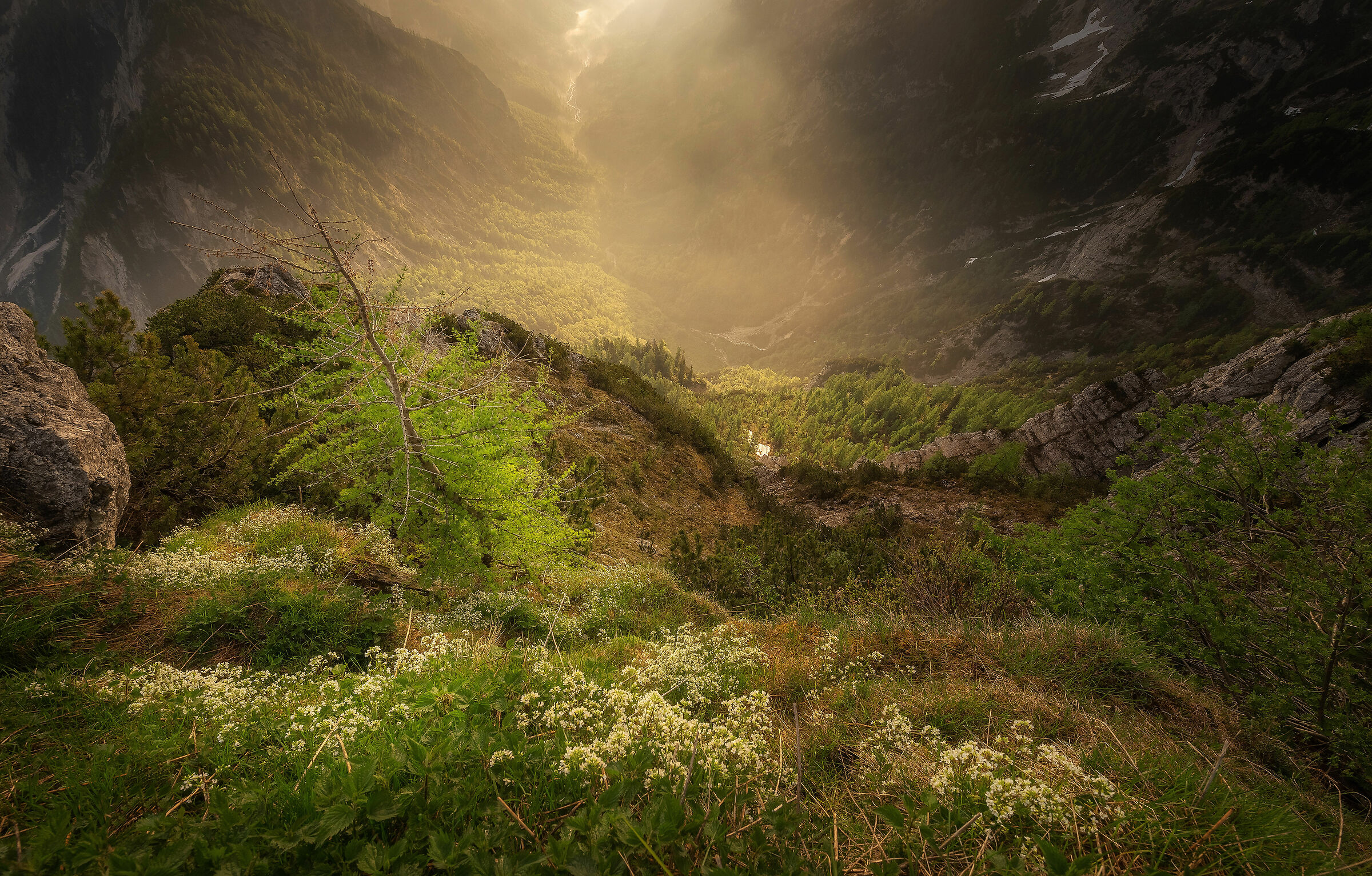 Look into the valley