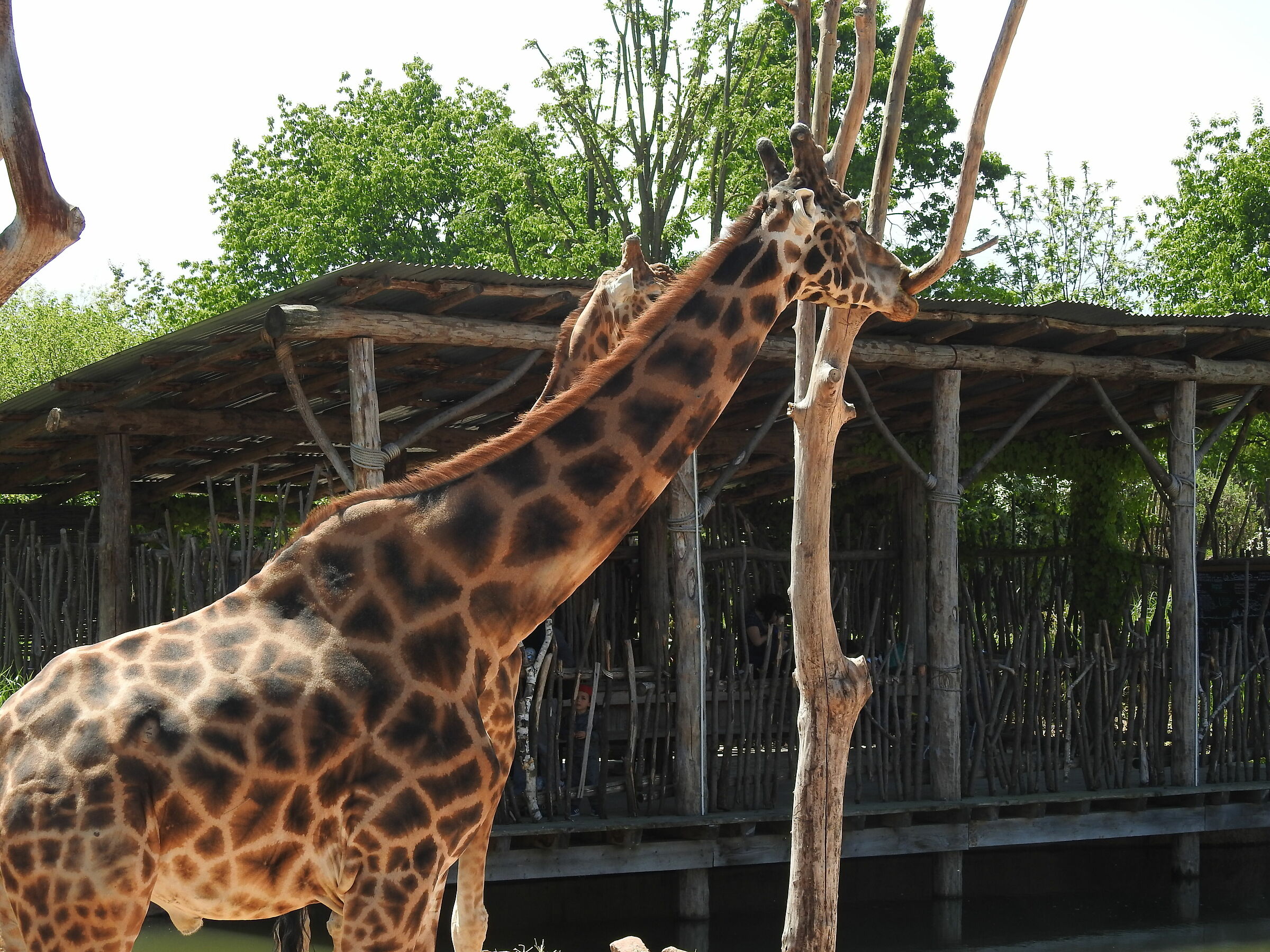 Untitled Photo