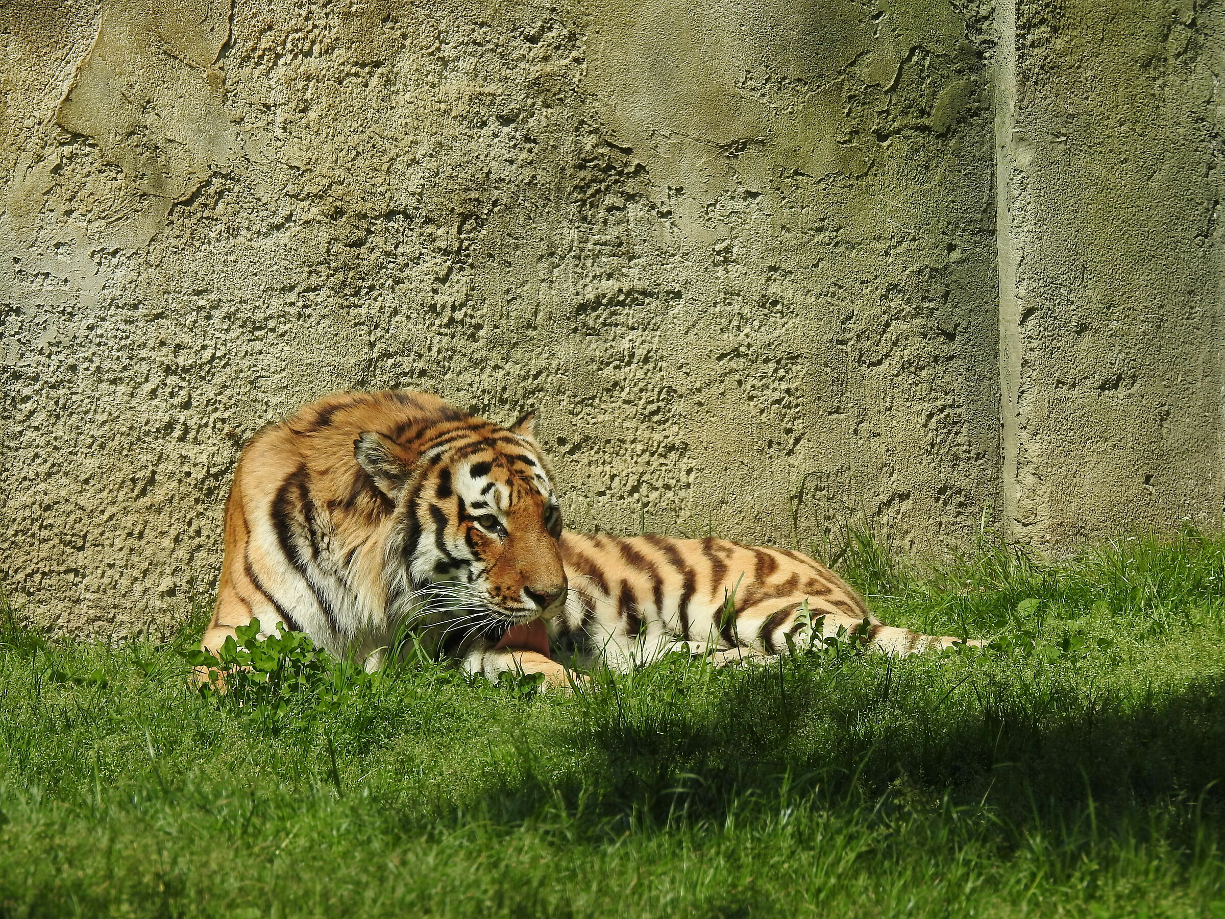 Untitled Photo