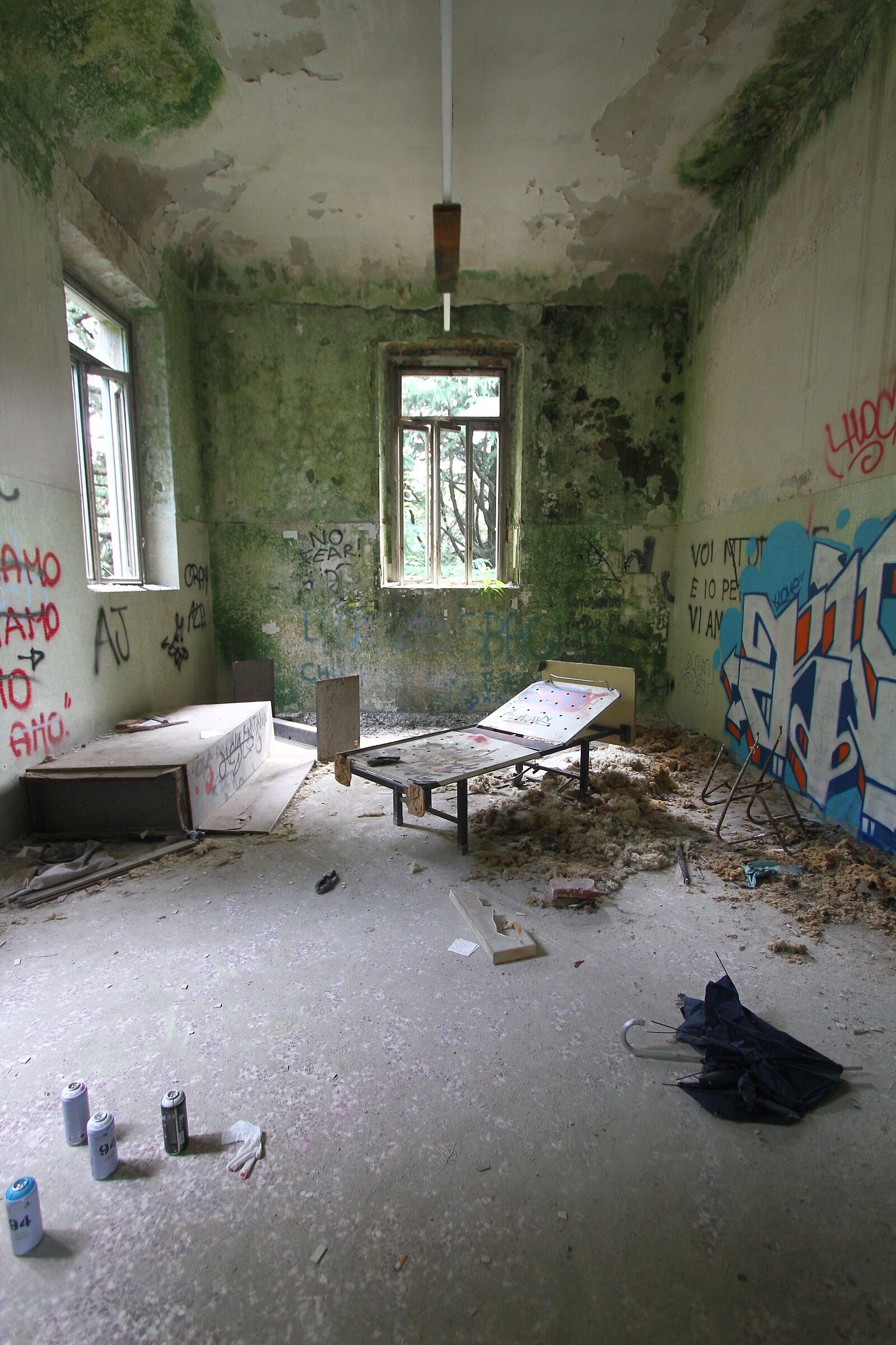 Abandoned Asylum
