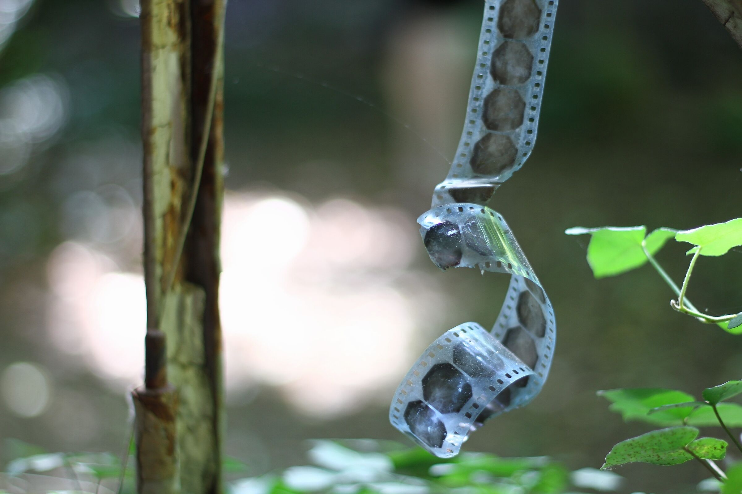 Manicomio abbandonato