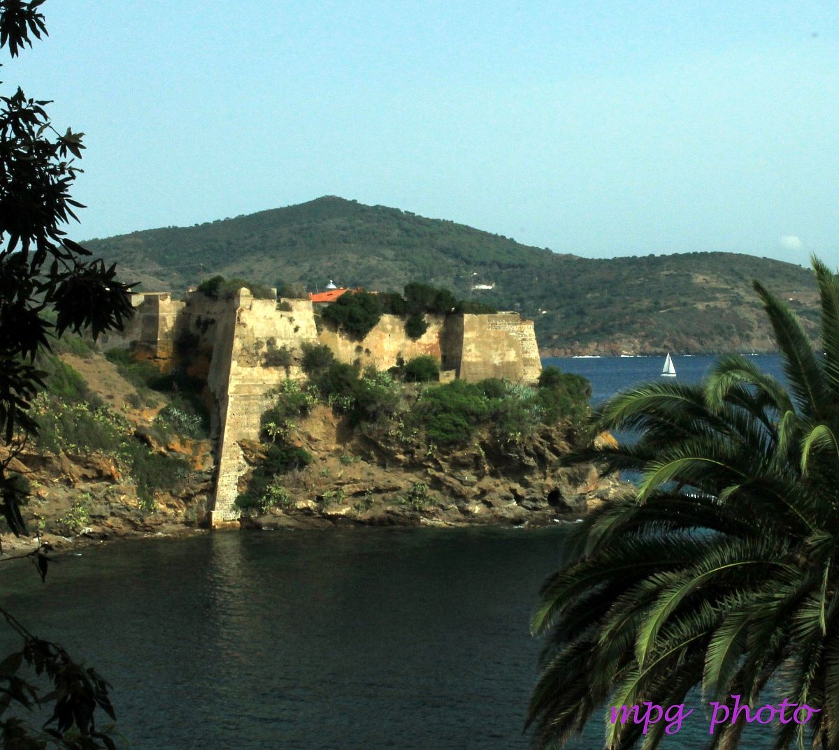 Strong Fogardo (Isolad'Elba)