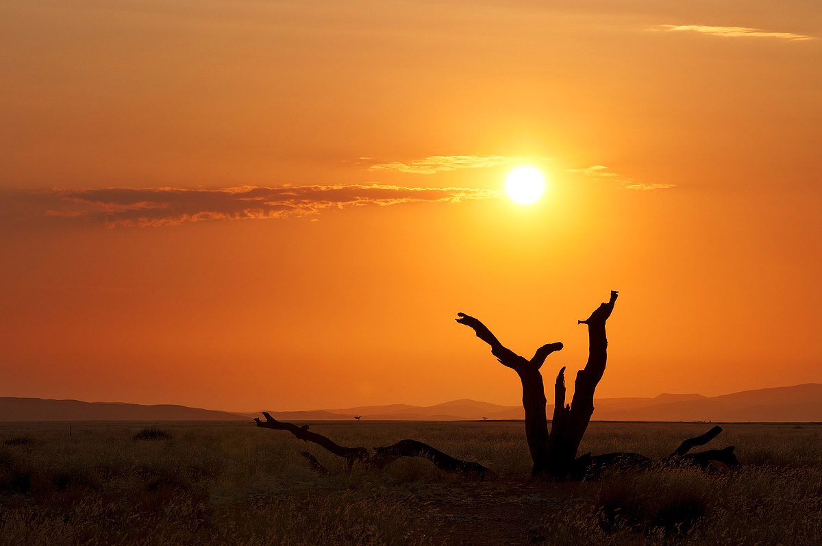 against the Namibian