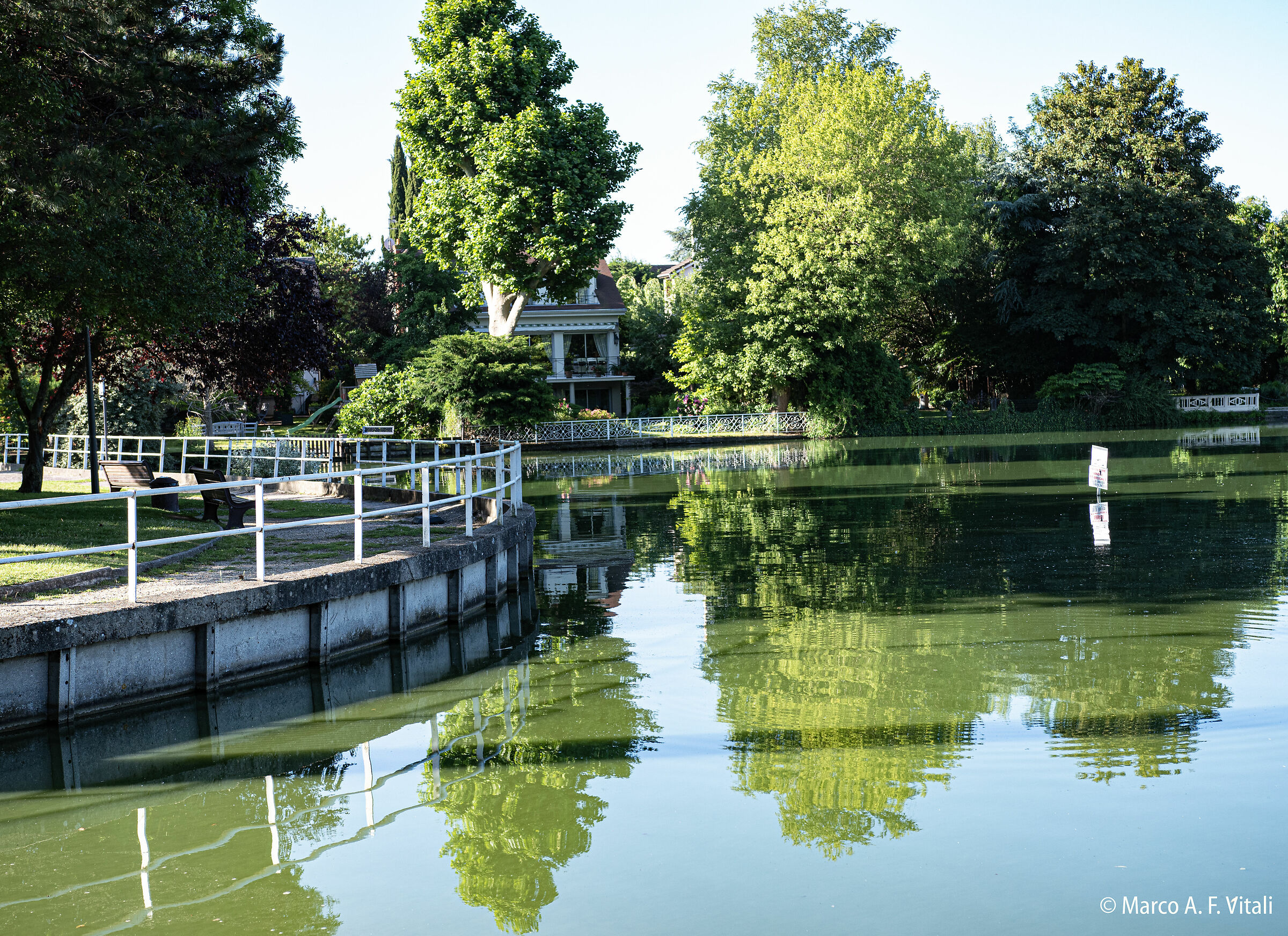 Petit lac au petit matin