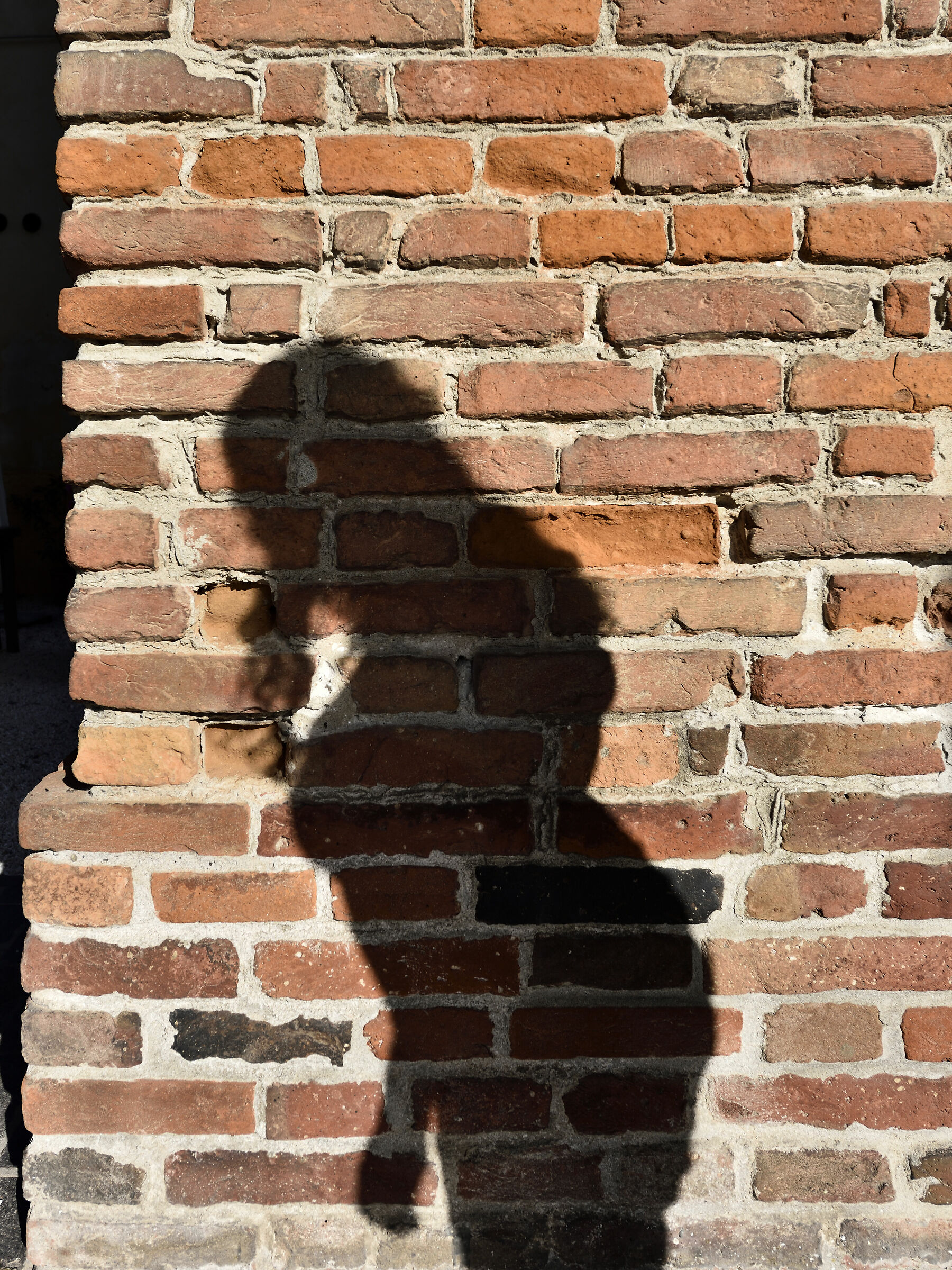 il fantasma di Anna.