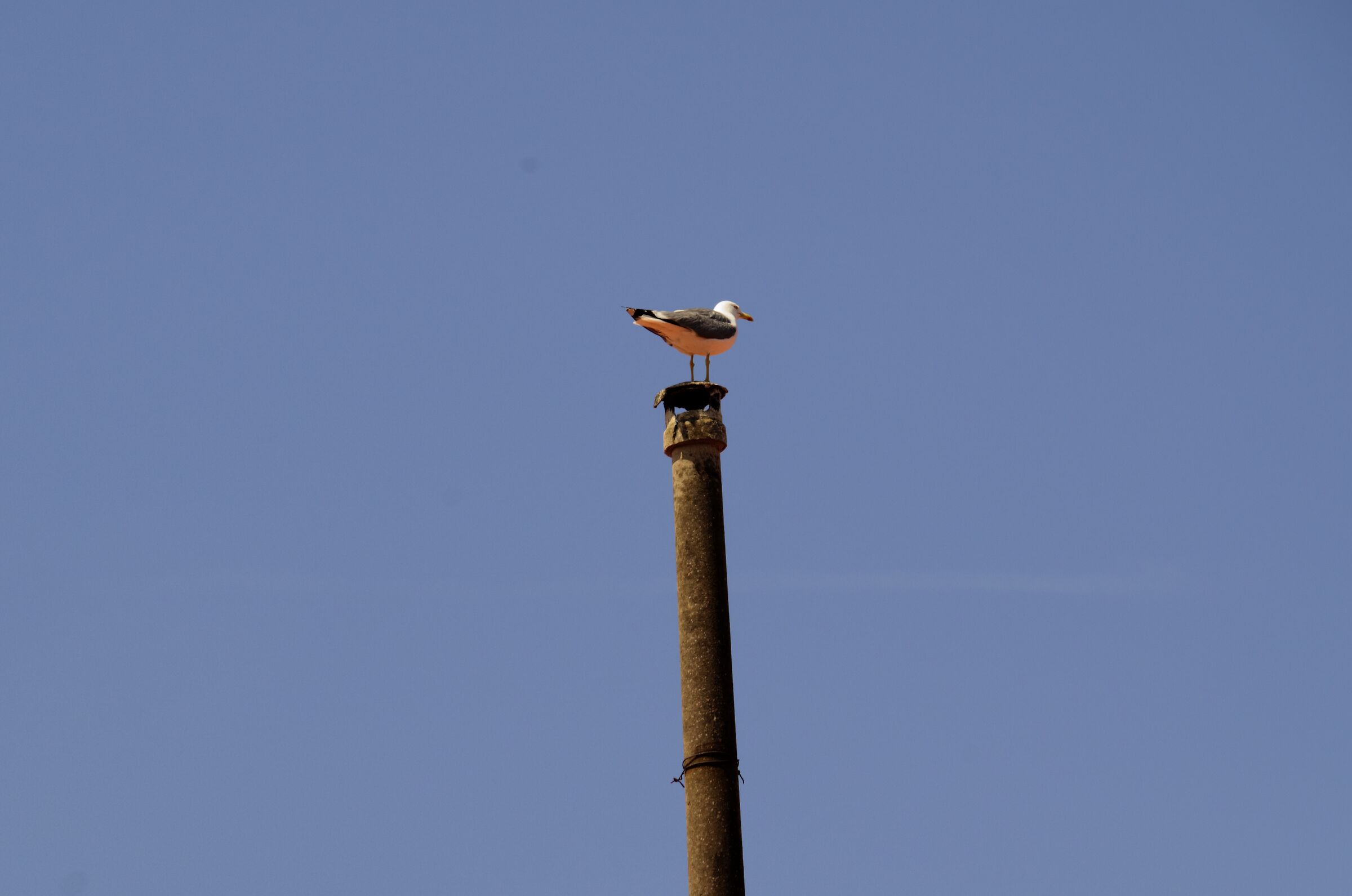 riposo sulla canna fumaria