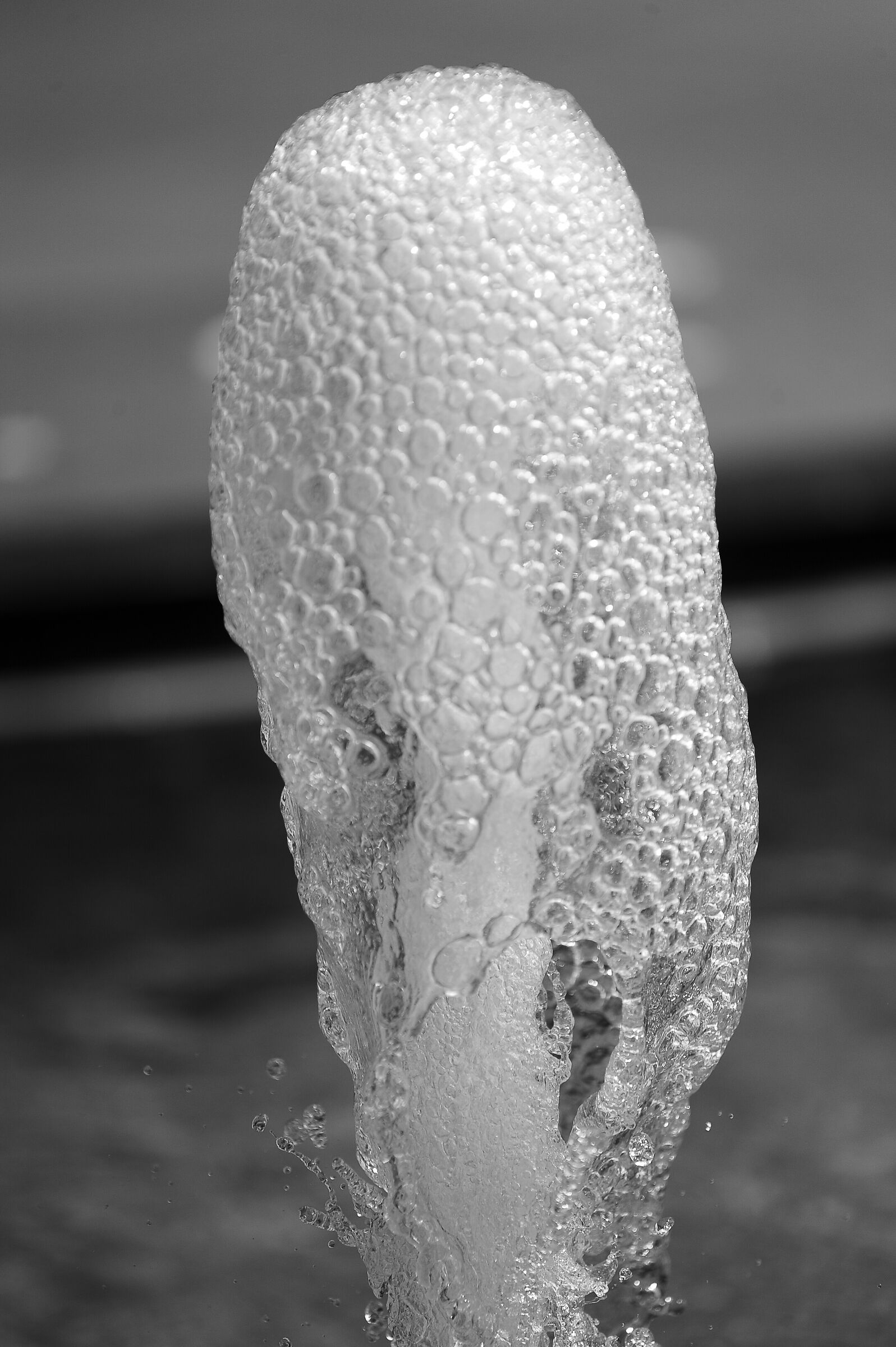 Giochi d'acqua