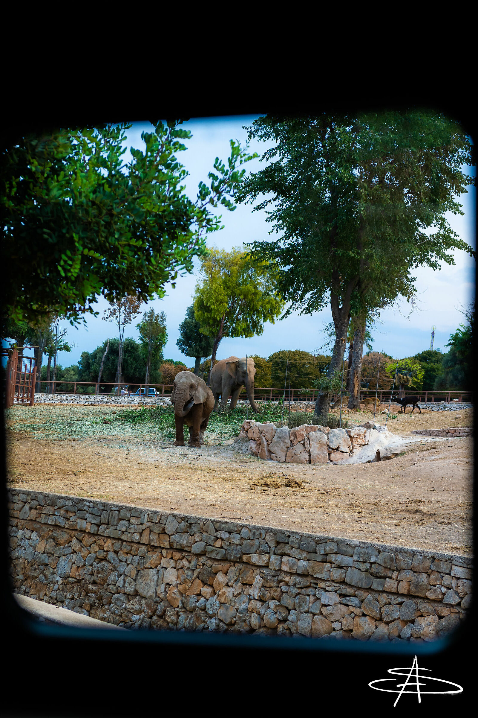 Untitled Photo