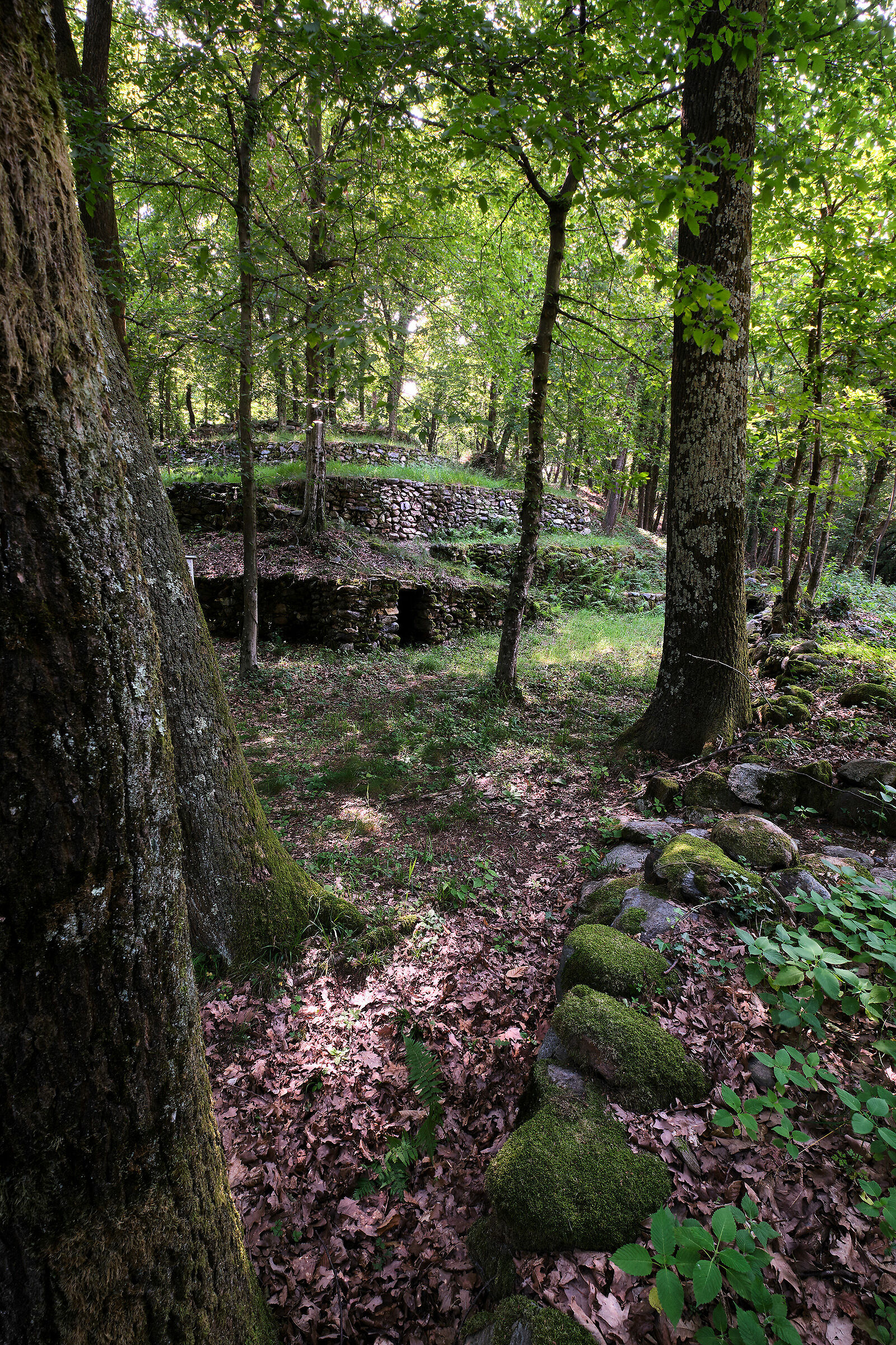 Il "Castelliere" di Mongrando (bi)