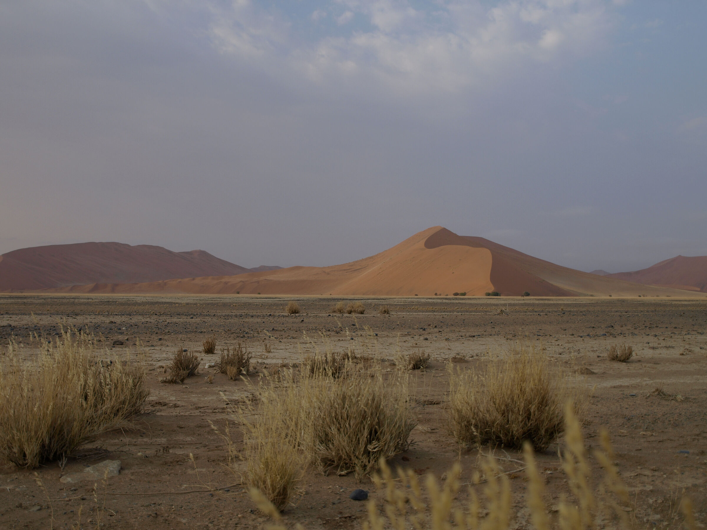 Dune in Namib