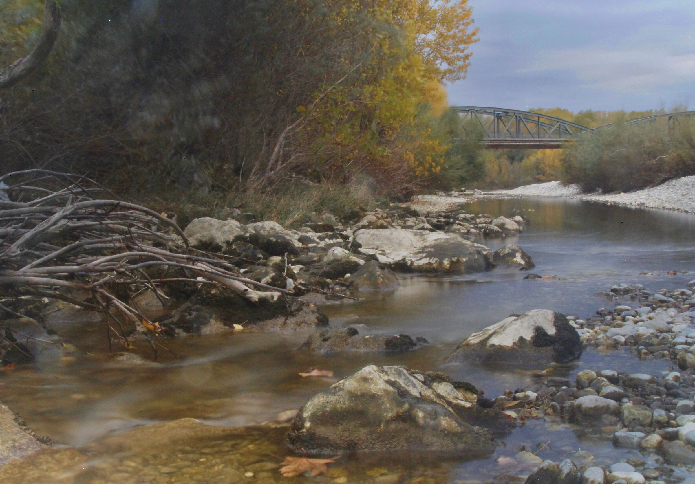 perspectives from the river