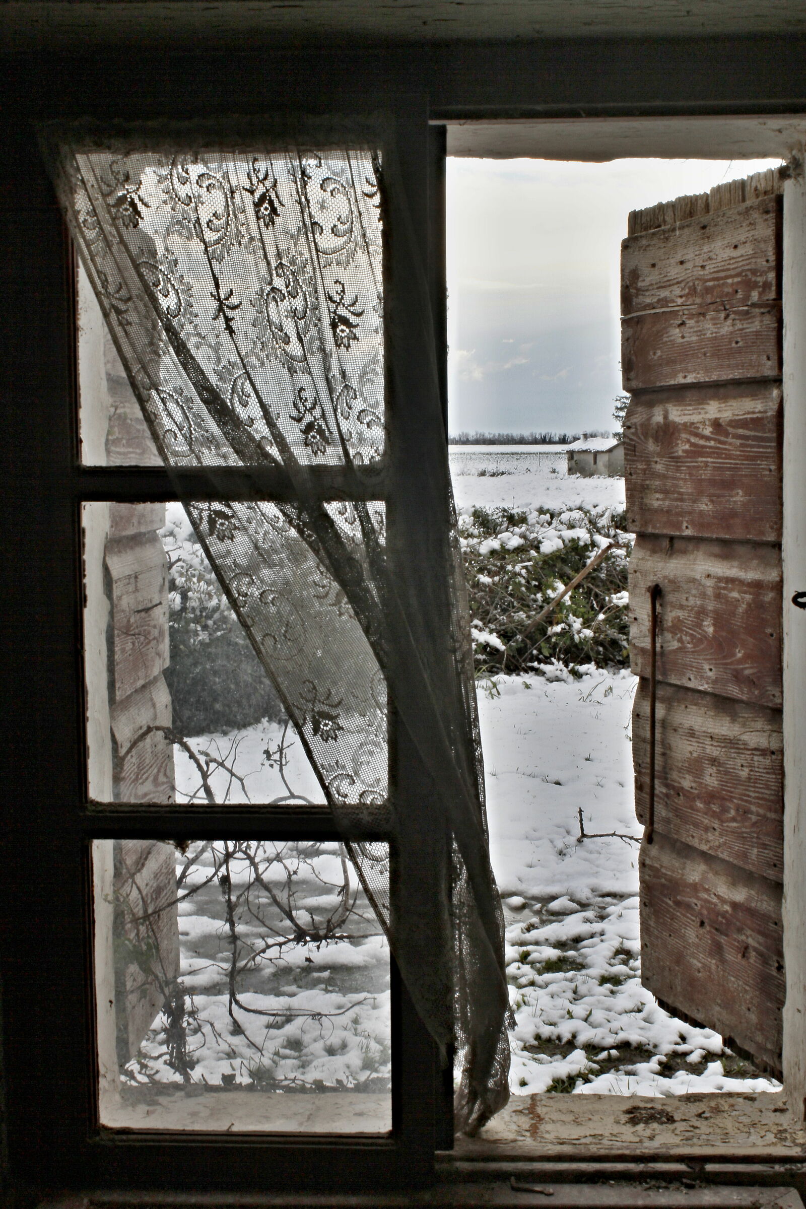 a window in the winter
