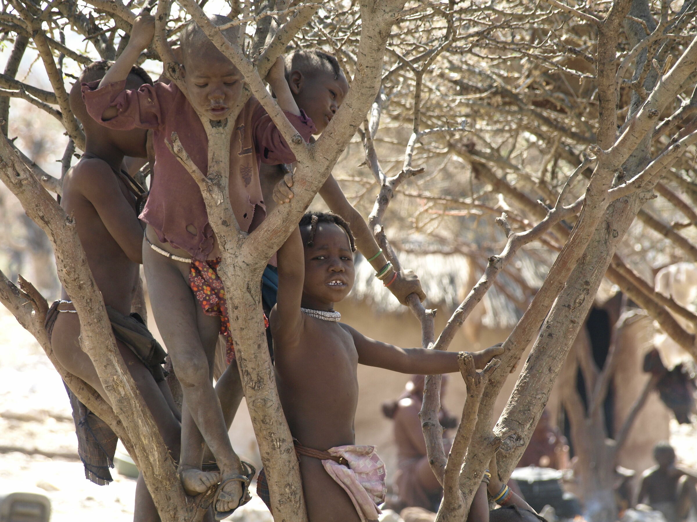 L'albero dei bambini