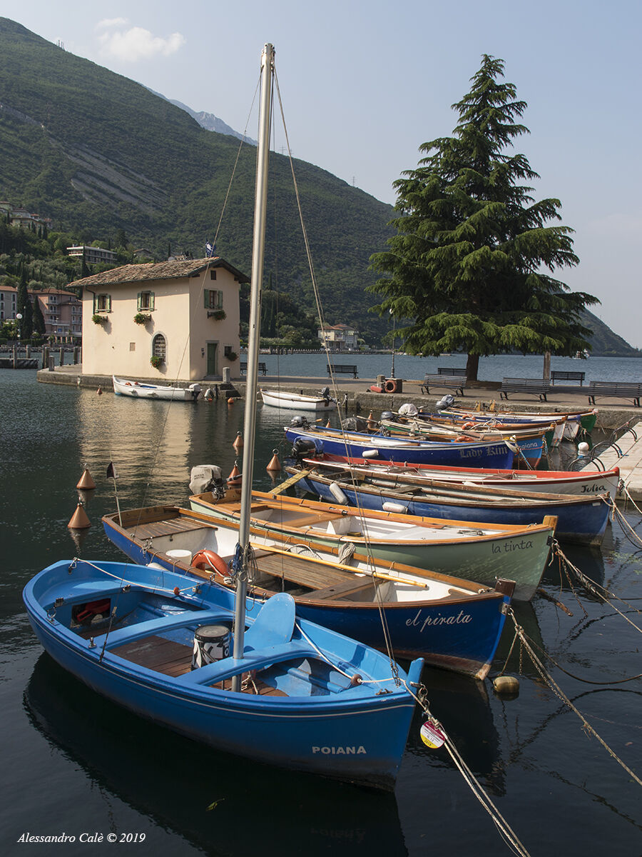 Torbole 1486