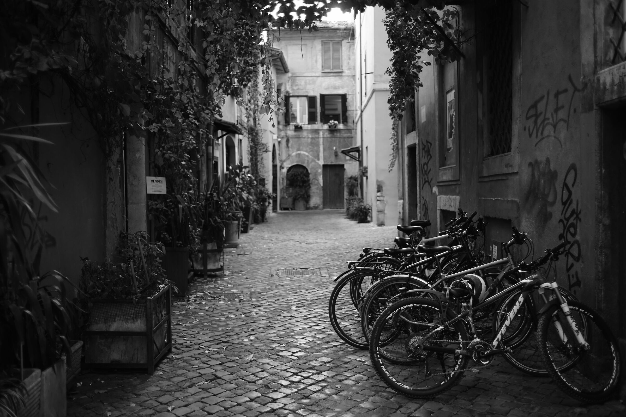 Trastevere 3